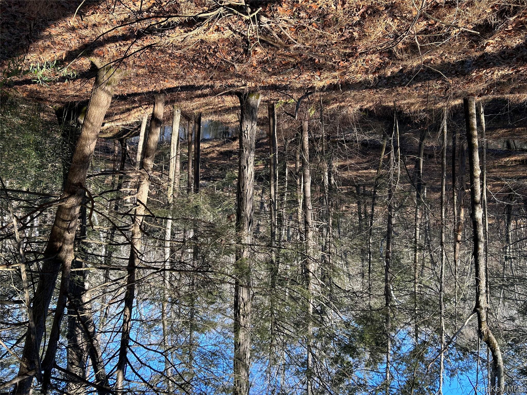 #15 photo, 26 Mossy Brook Road, High Falls , NY 12440