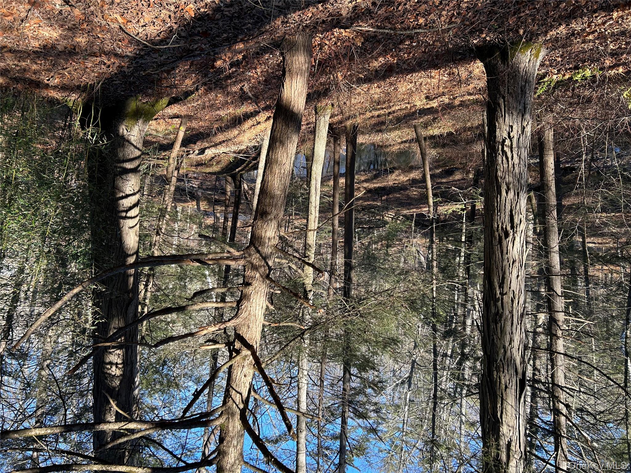 #19 photo, 26 Mossy Brook Road, High Falls , NY 12440