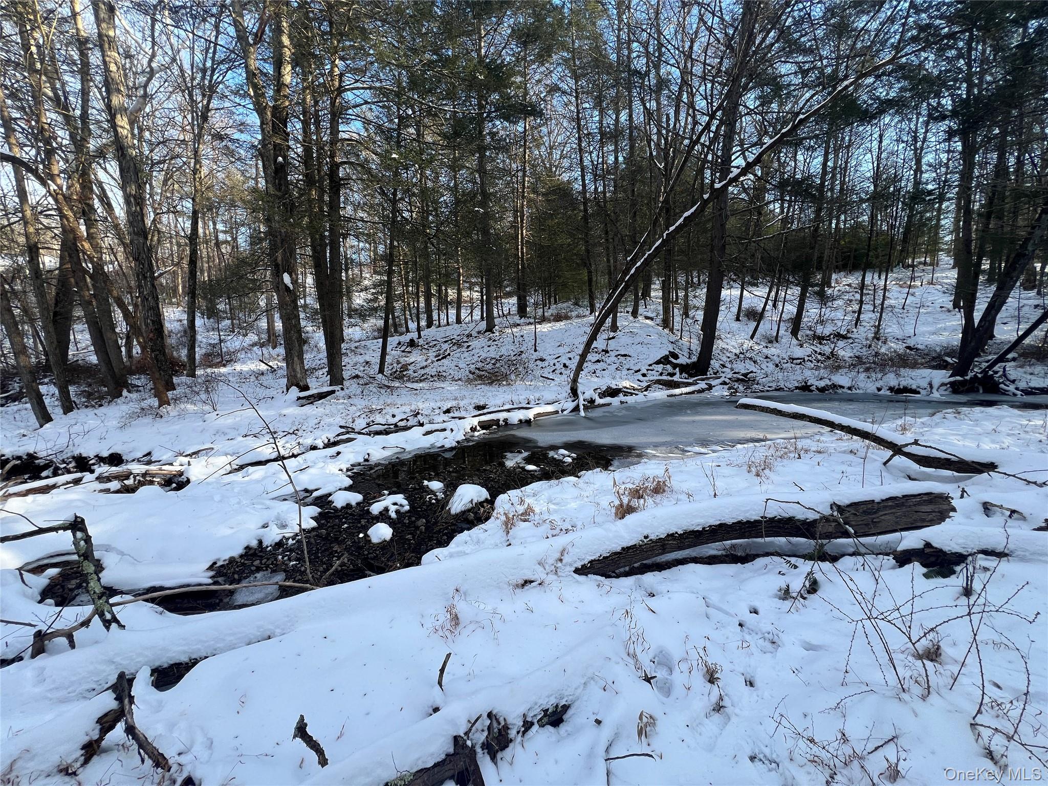 #5 photo, 26 Mossy Brook Road, High Falls , NY 12440