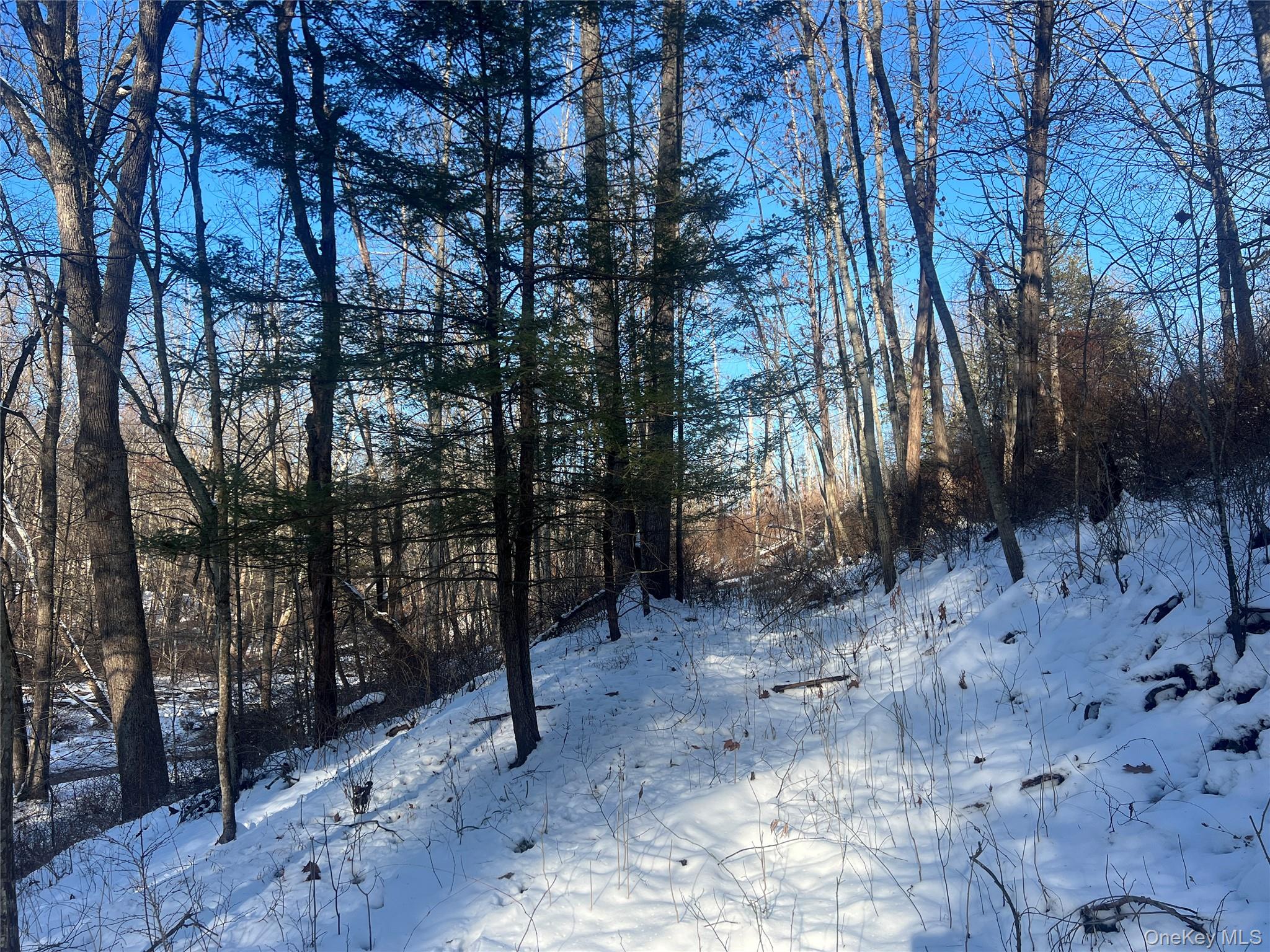 #6 photo, 26 Mossy Brook Road, High Falls , NY 12440