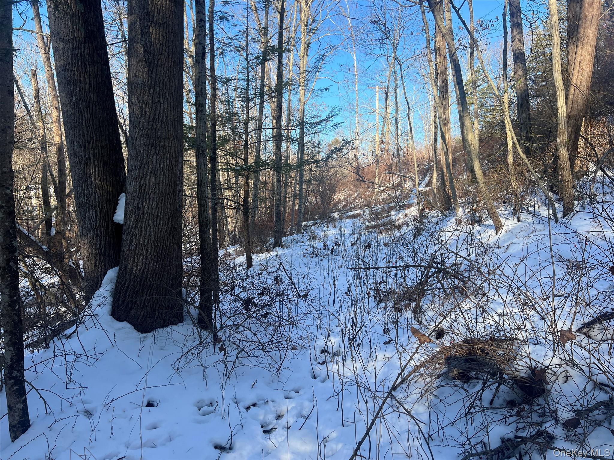 #7 photo, 26 Mossy Brook Road, High Falls , NY 12440