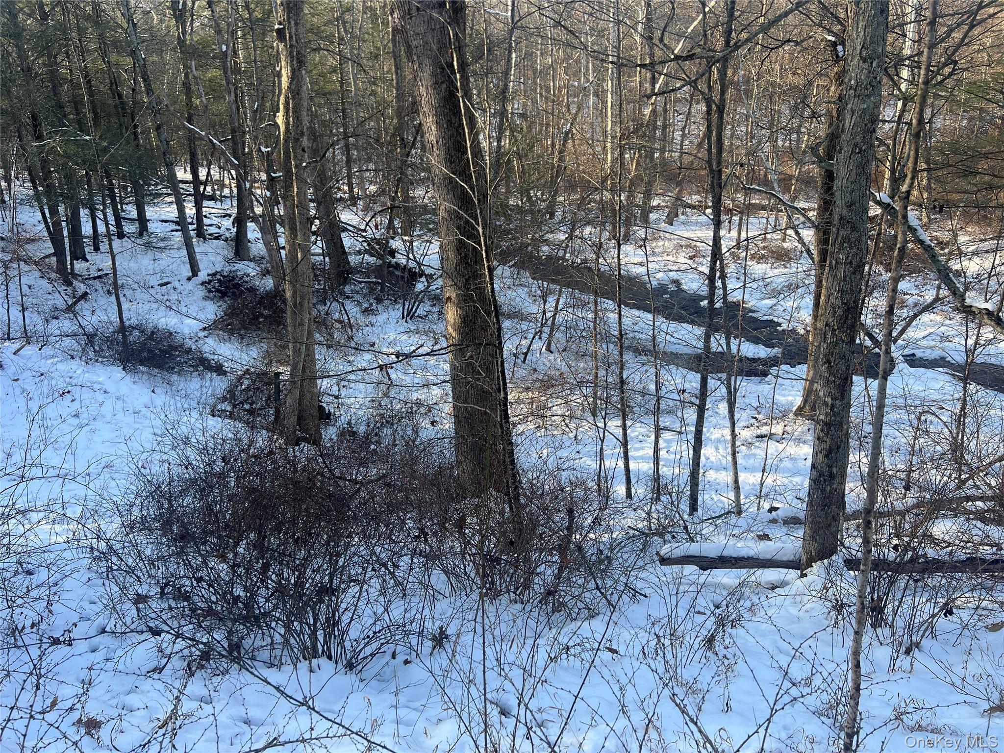 #8 photo, 26 Mossy Brook Road, High Falls , NY 12440