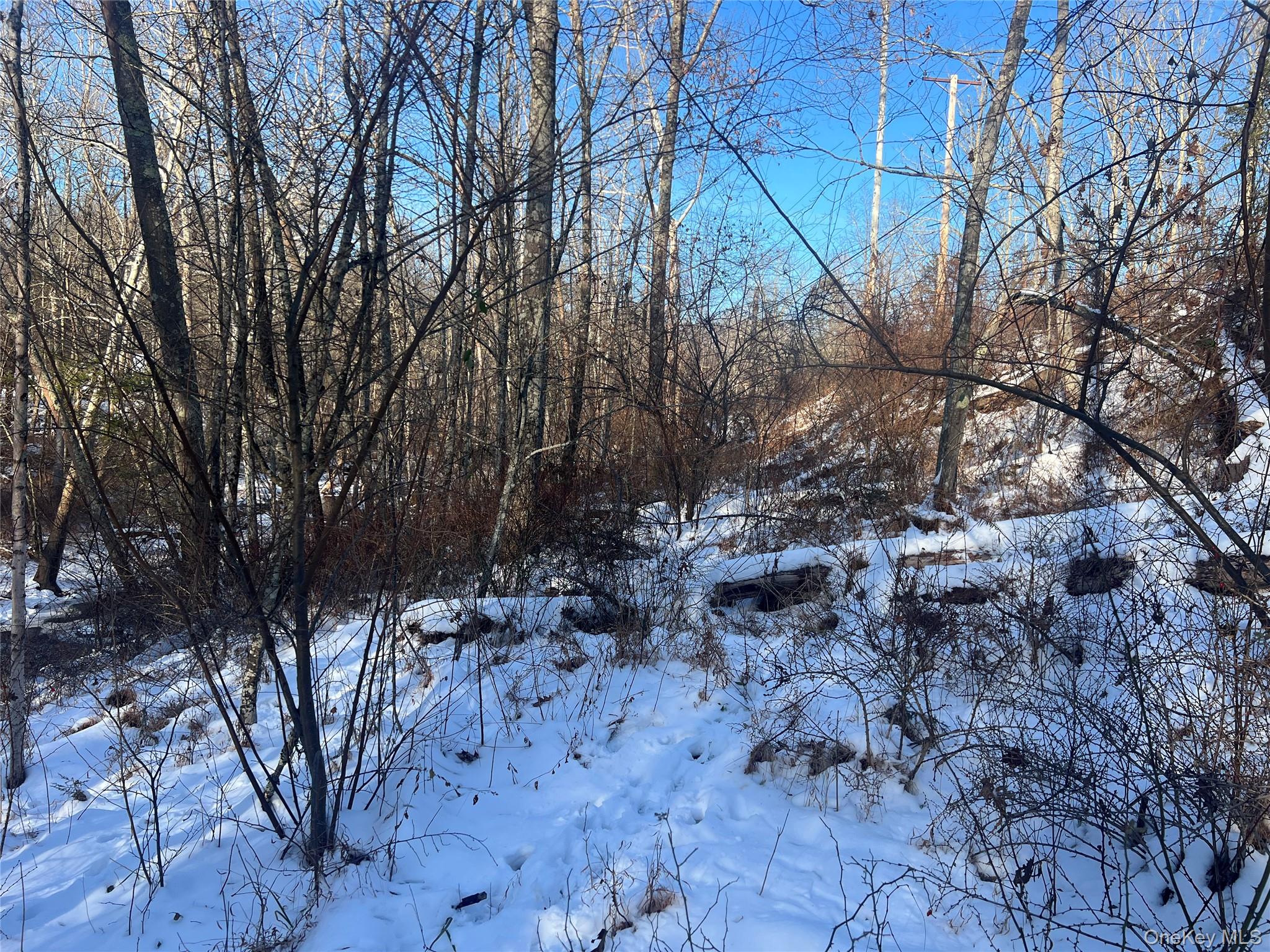 #9 photo, 26 Mossy Brook Road, High Falls , NY 12440