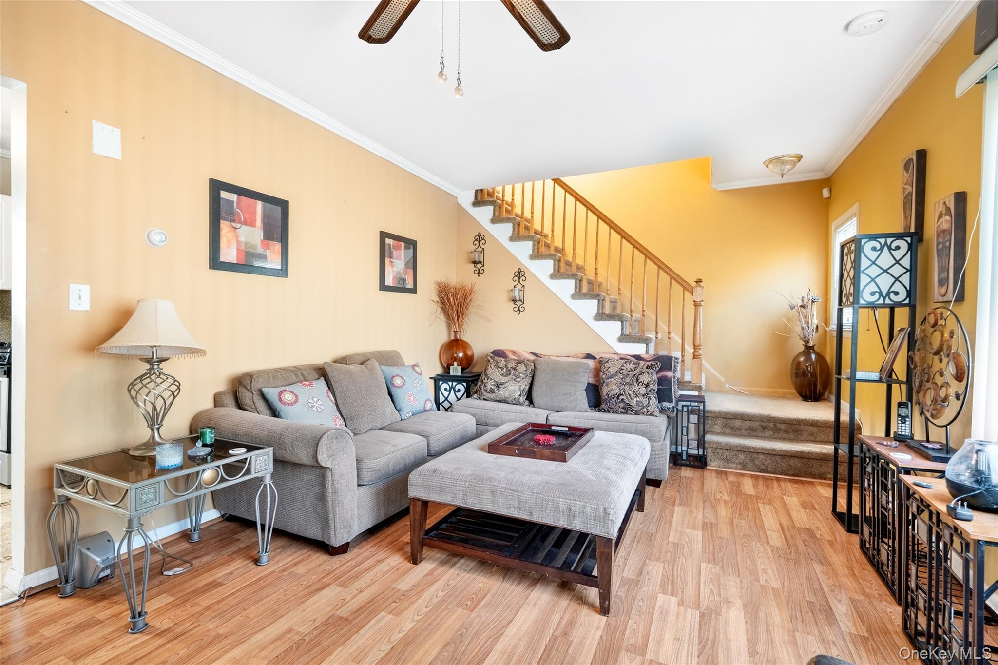 #8 photo, 49 Cleveland Street, White Plains , NY 10606