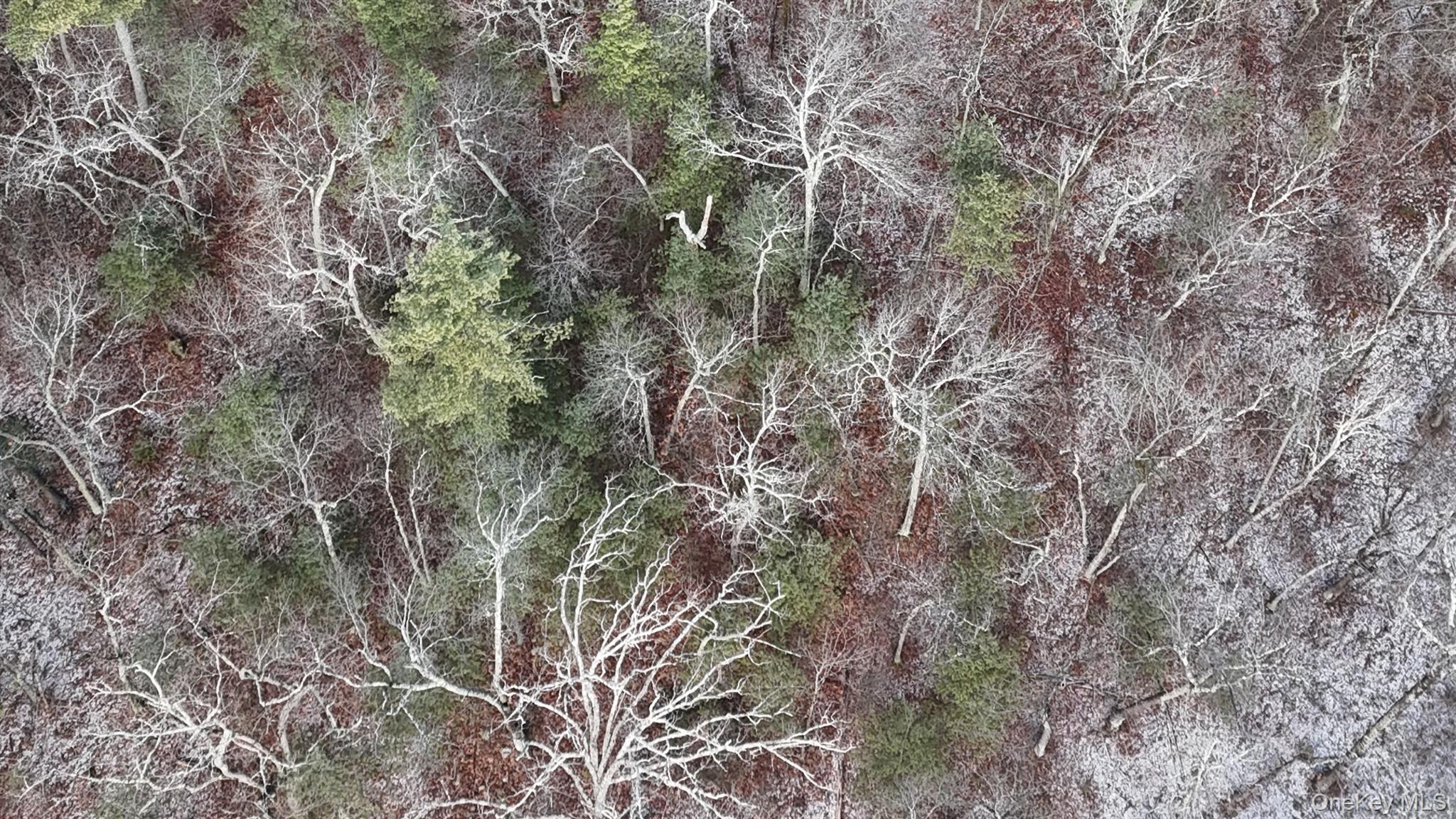 #6 photo, 95 Skinner Road, Wurtsboro , NY 12790