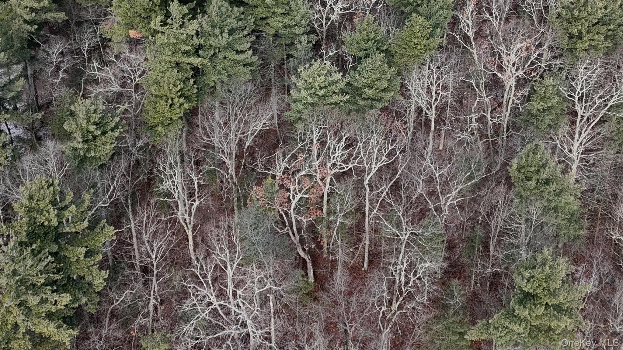 #7 photo, 95 Skinner Road, Wurtsboro , NY 12790