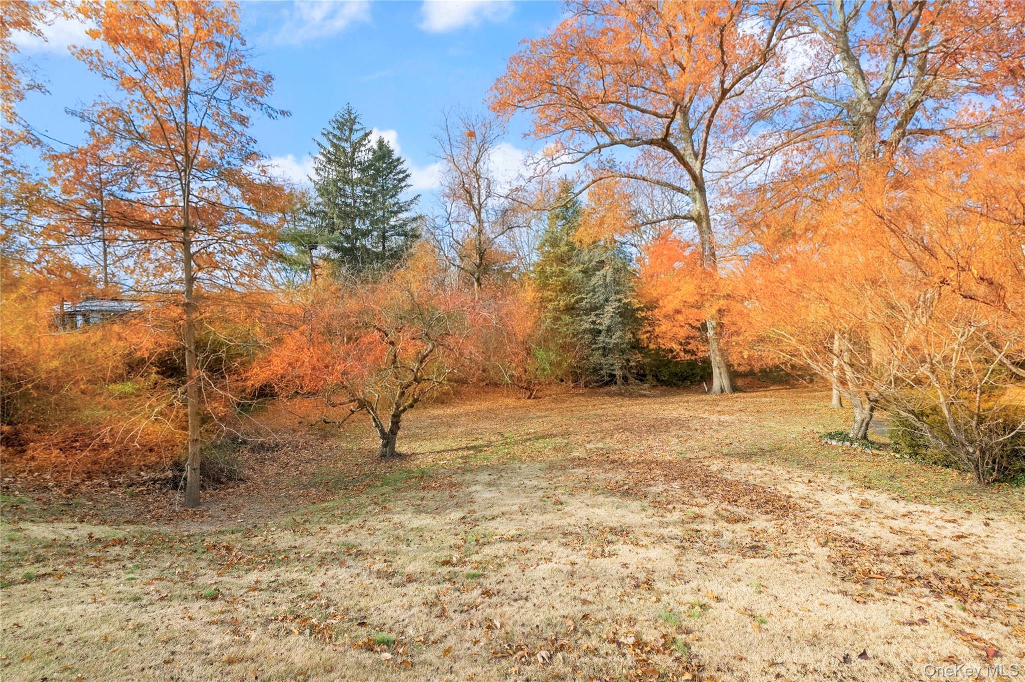 #4 photo, Palisade Avenue, Bronx , NY 10471