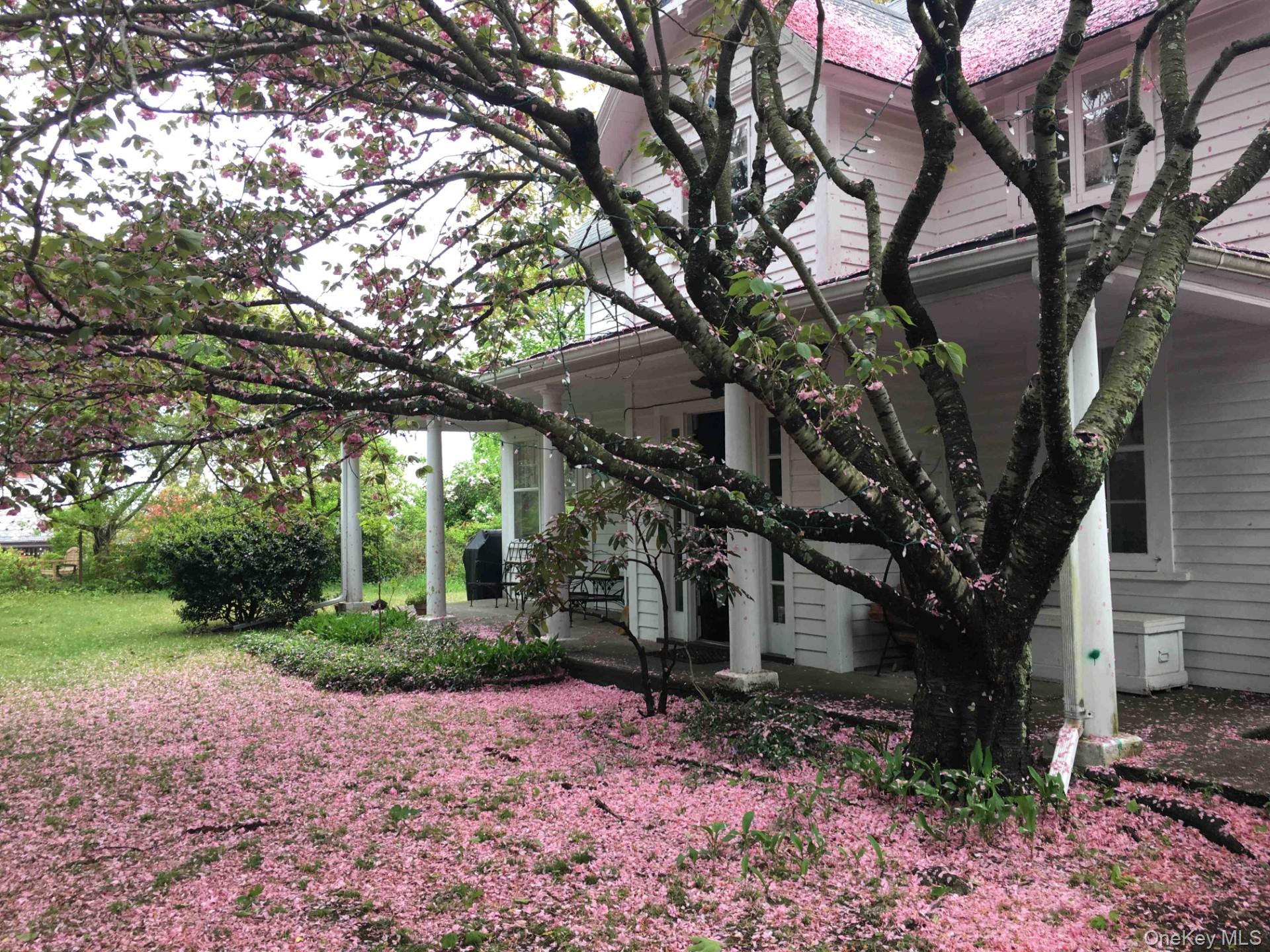 #16 photo, 161 15th Avenue, নাসাউ কাউন্টি Sea Cliff , NY 11579