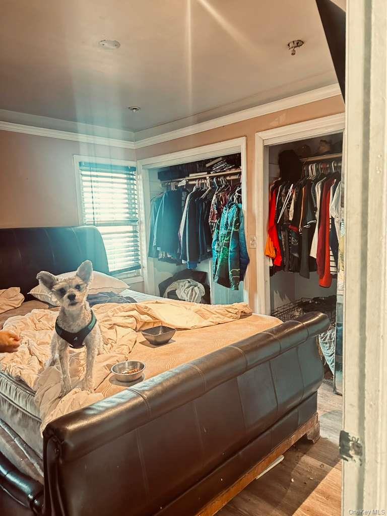 #7 photo, 2716 Morgan Avenue, ব্রঙ্কস Bronx , NY 10469