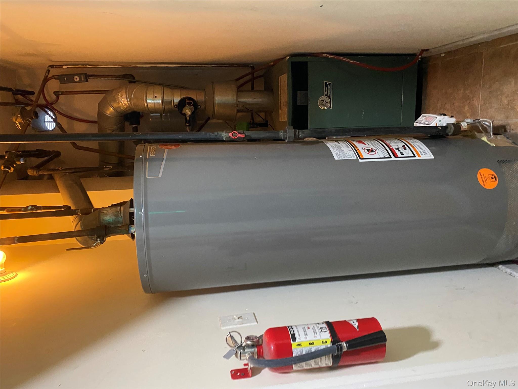 #2 photo, 801 E 163rd Street, ব্রঙ্কস Bronx , NY 10456