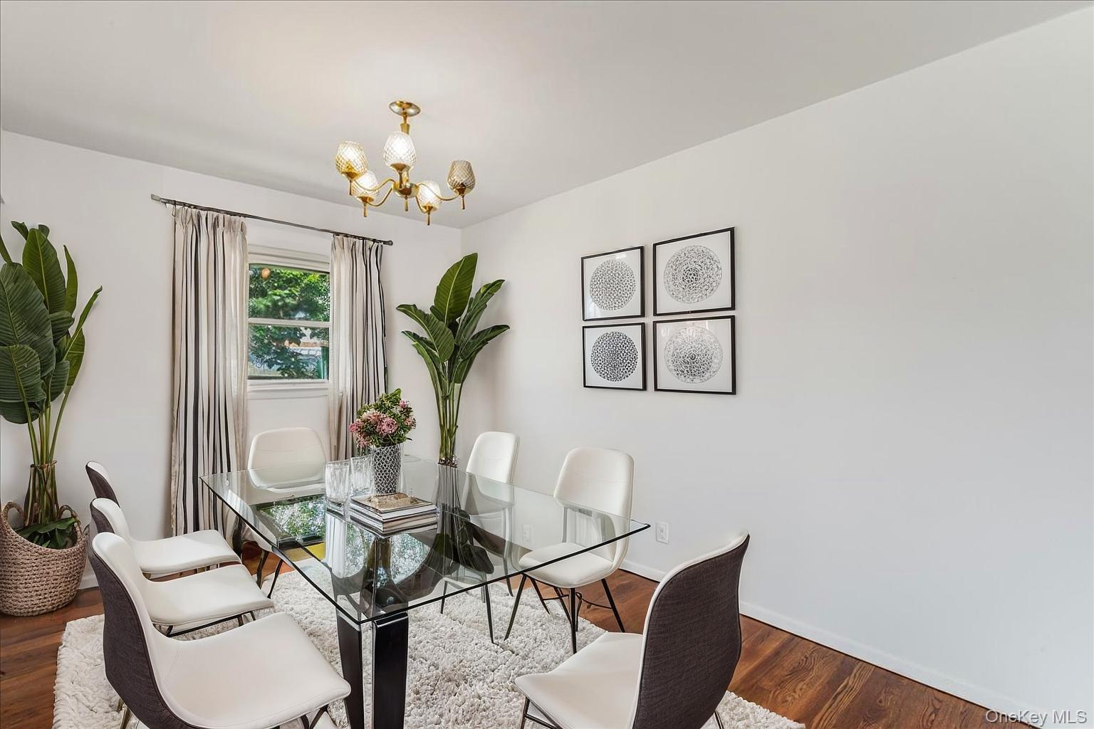 #9 photo, 19 Dakota Street, 长岛 Hicksville , NY 11801