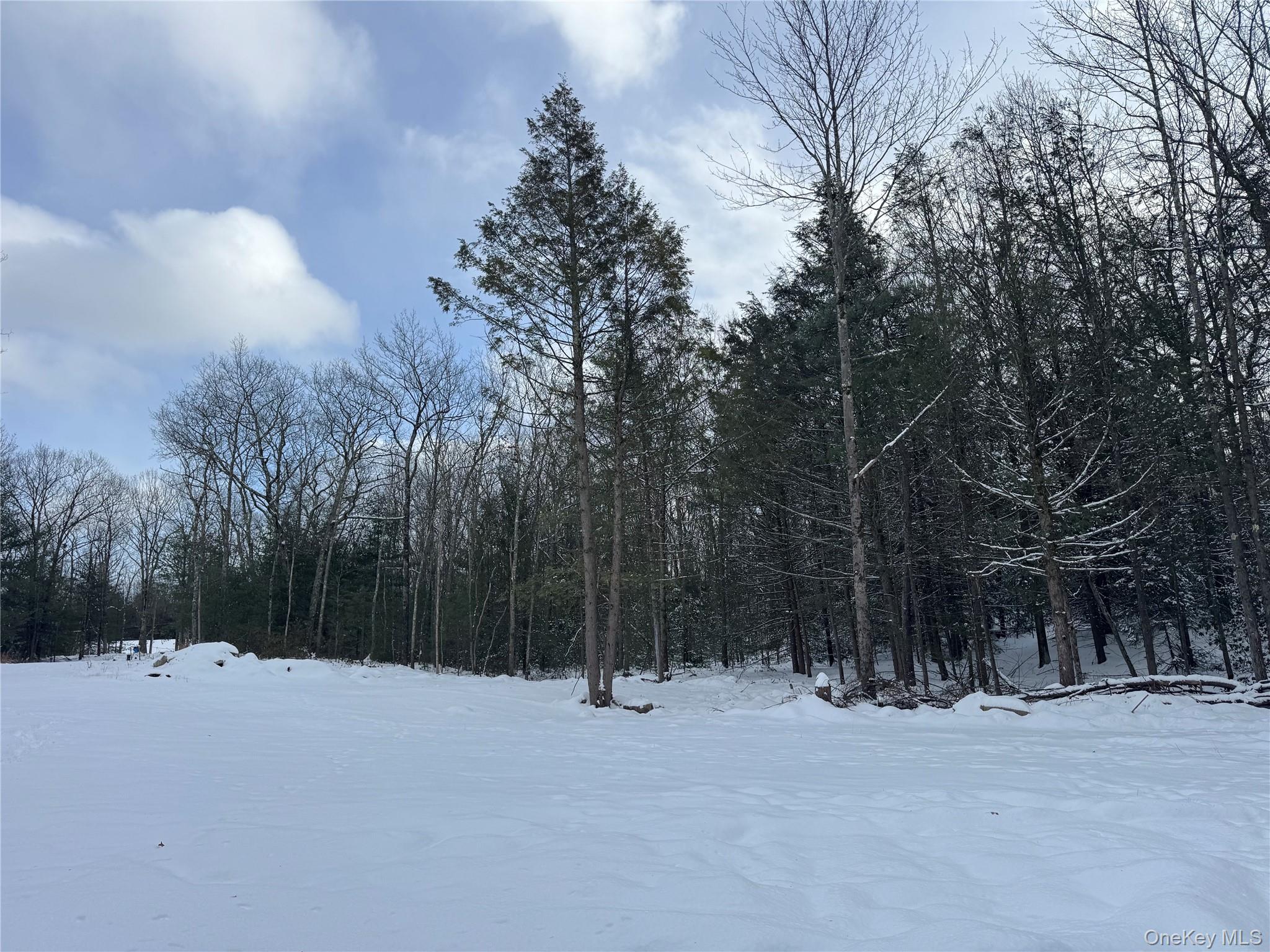 #10 photo, 171 Renner Road, Mountain Dale , NY 12763