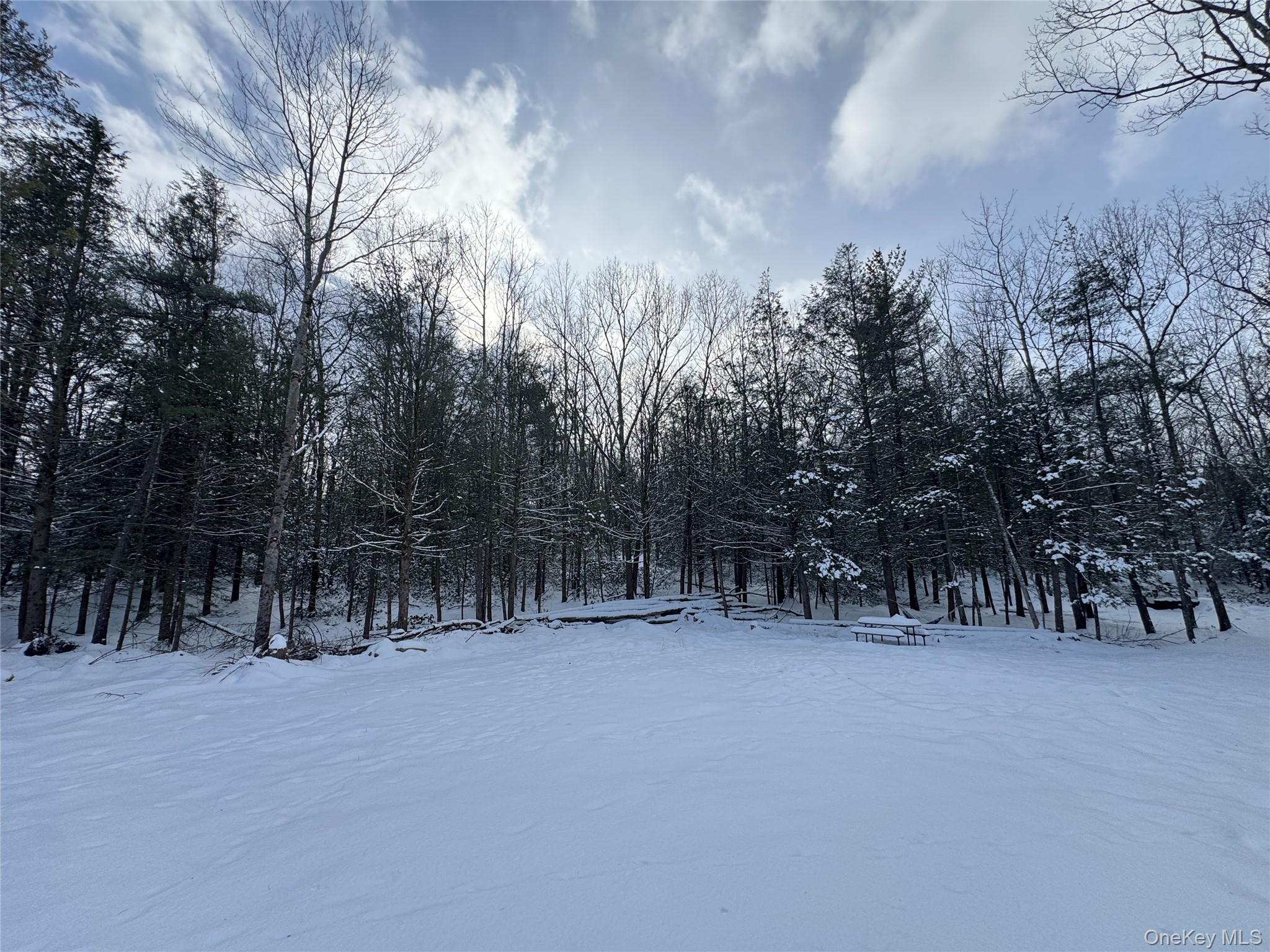 #12 photo, 171 Renner Road, Mountain Dale , NY 12763