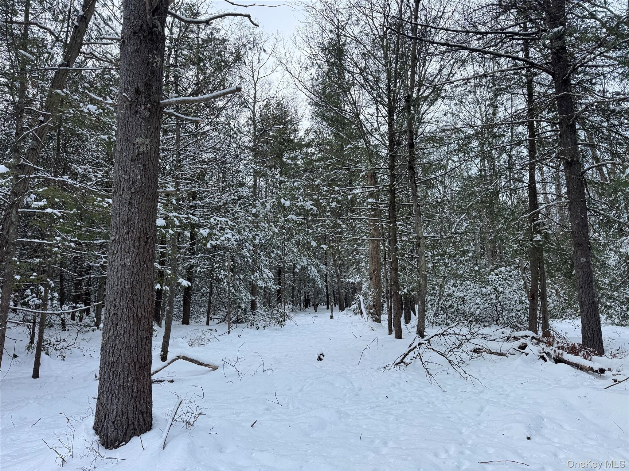 #16 photo, 171 Renner Road, Mountain Dale , NY 12763