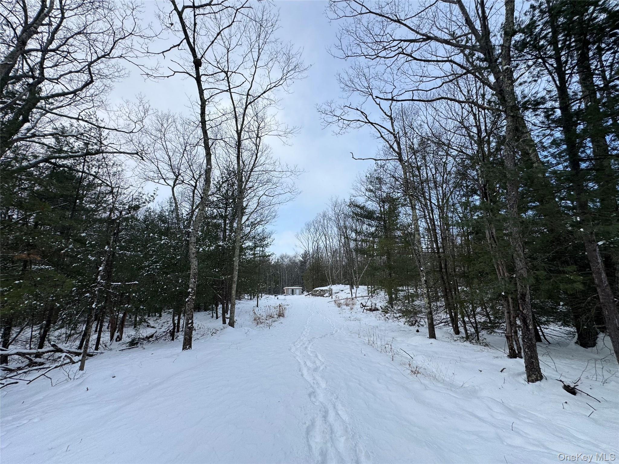 #18 photo, 171 Renner Road, Mountain Dale , NY 12763