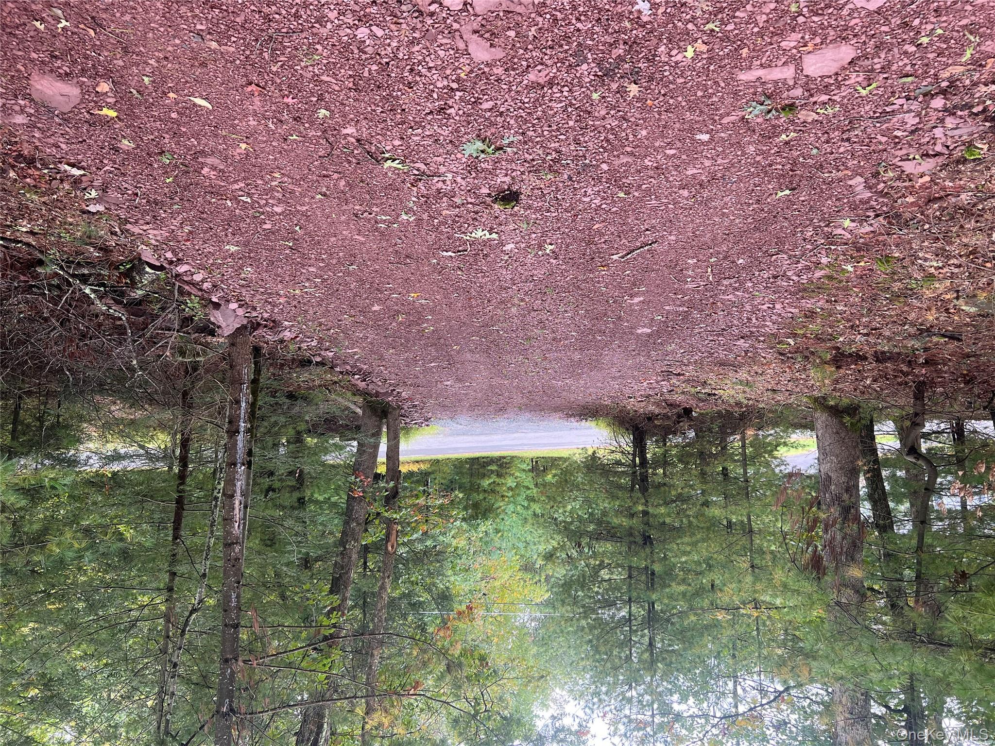 #19 photo, 171 Renner Road, Mountain Dale , NY 12763