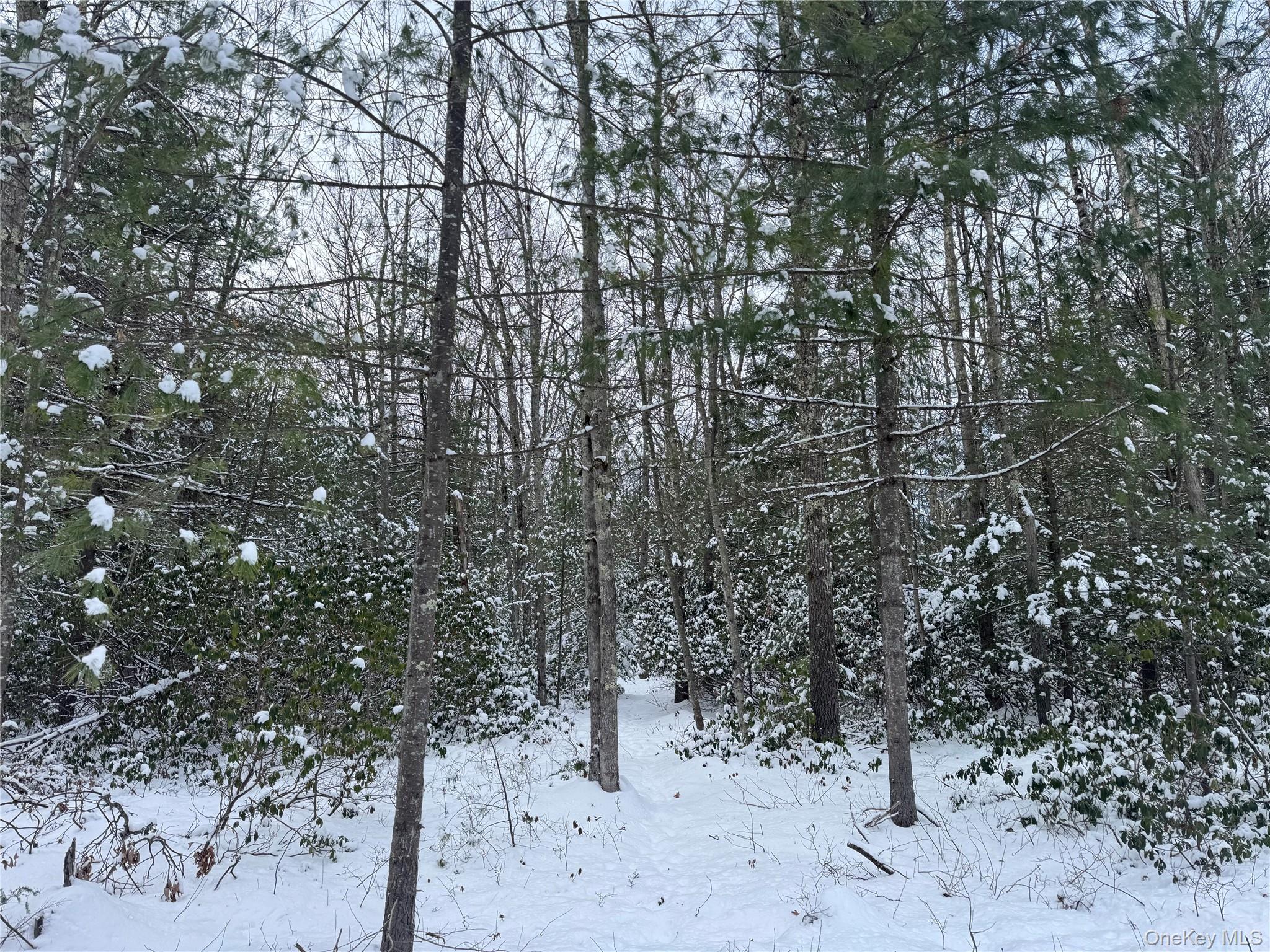 #2 photo, 171 Renner Road, Mountain Dale , NY 12763