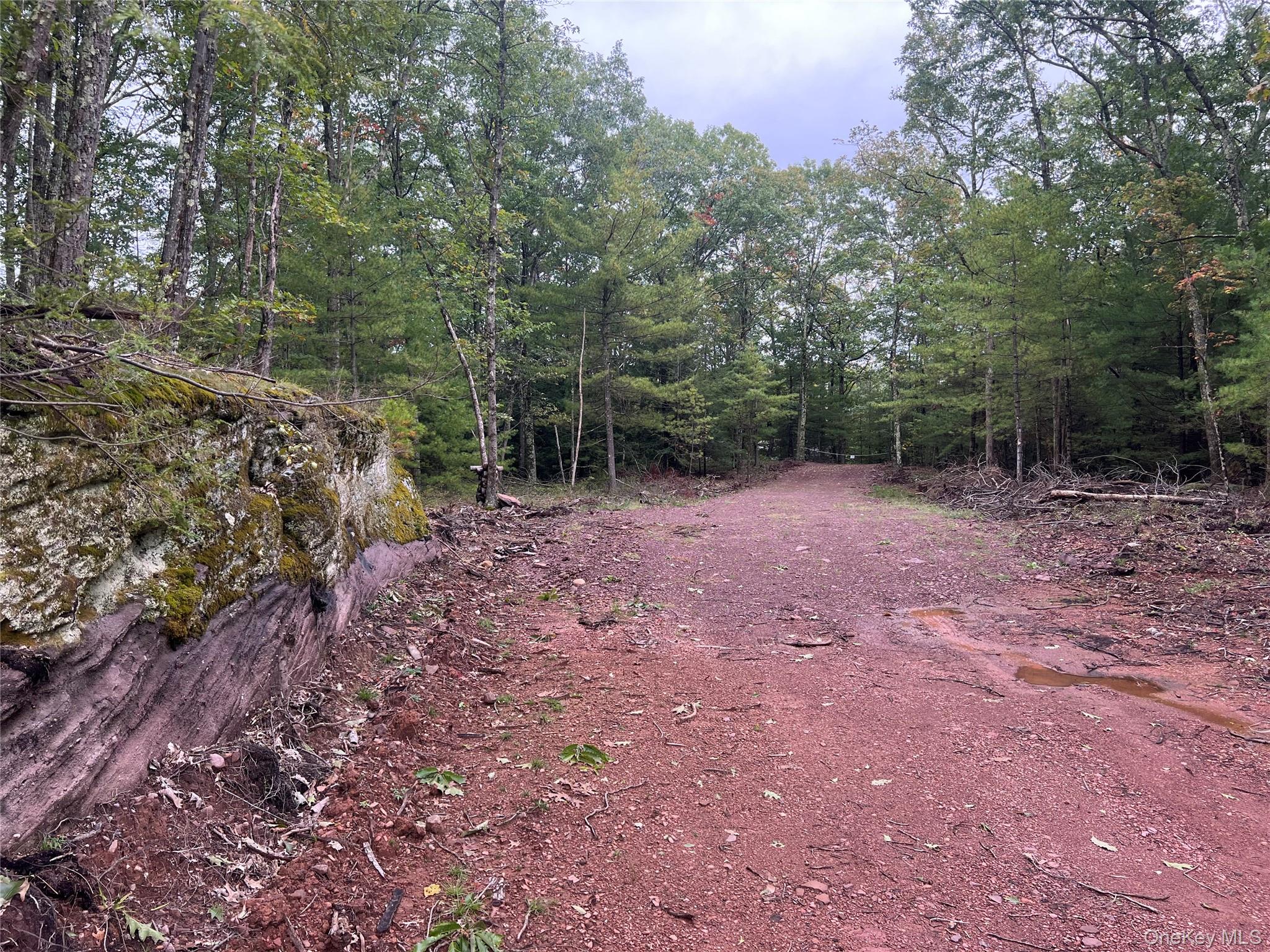 #20 photo, 171 Renner Road, Mountain Dale , NY 12763