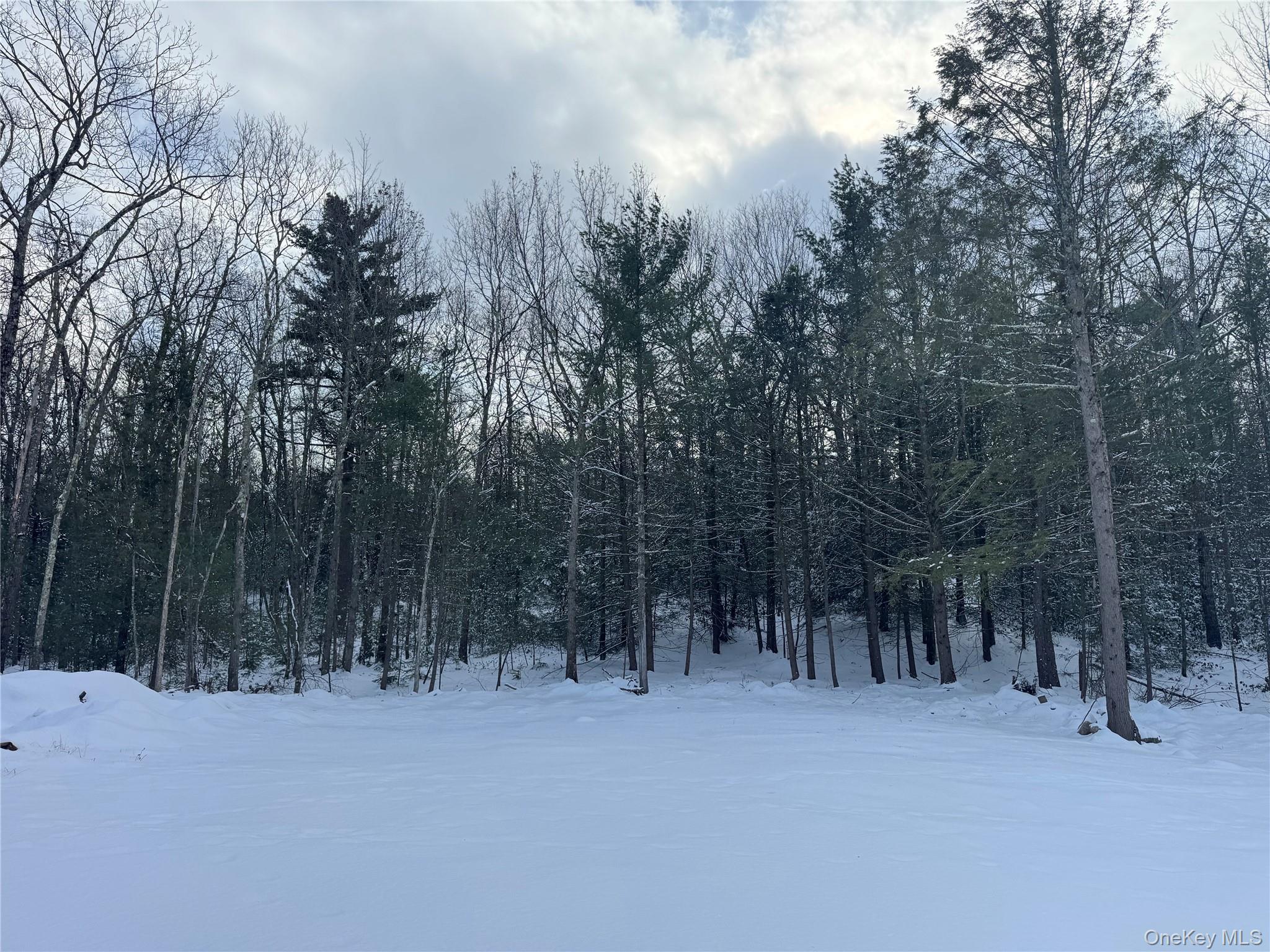 #3 photo, 171 Renner Road, Mountain Dale , NY 12763