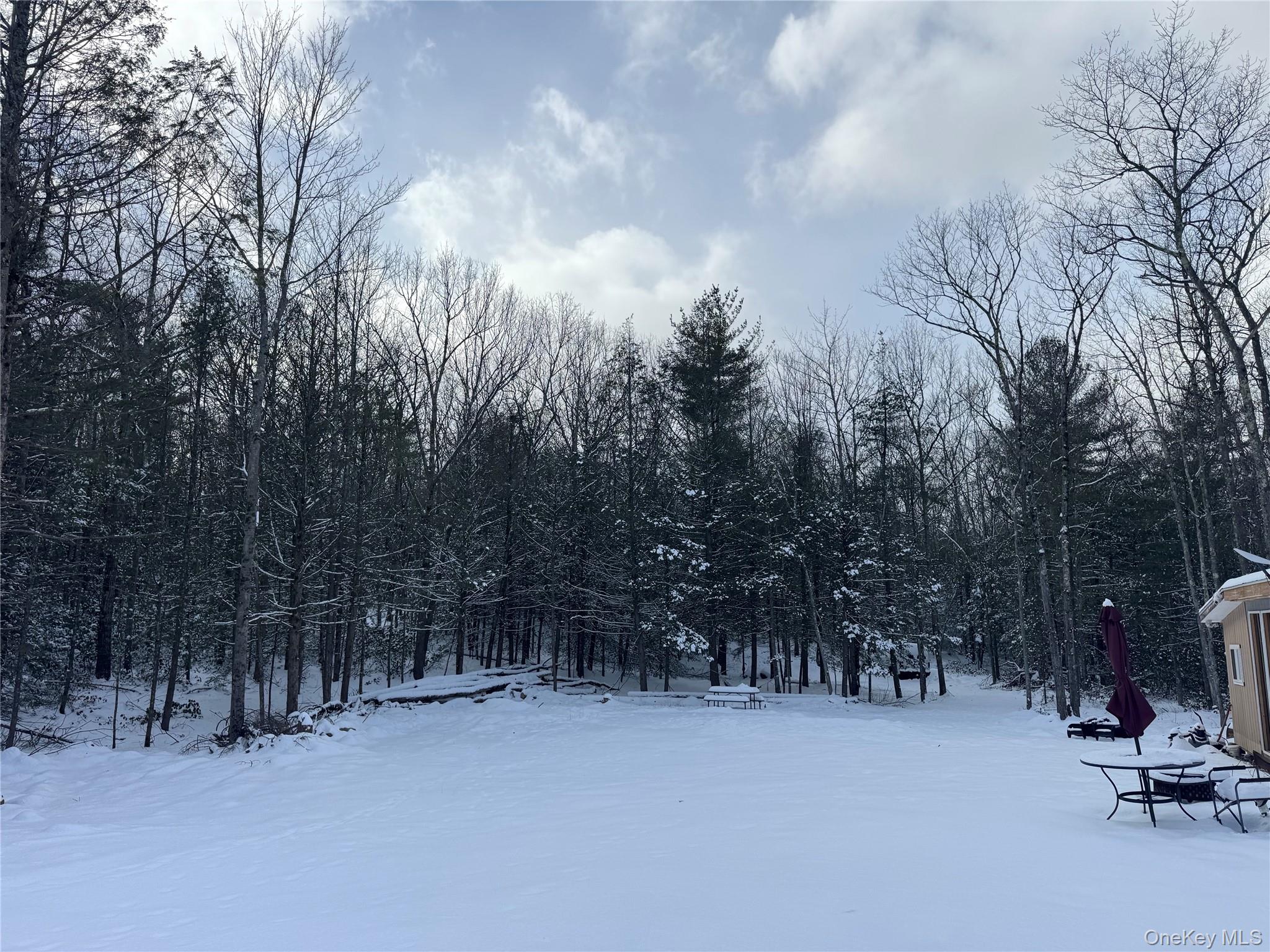 #4 photo, 171 Renner Road, Mountain Dale , NY 12763