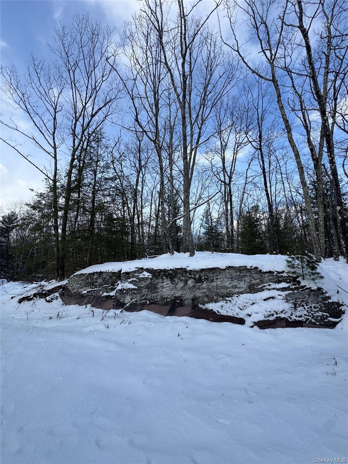 #5 photo, 171 Renner Road, Mountain Dale , NY 12763