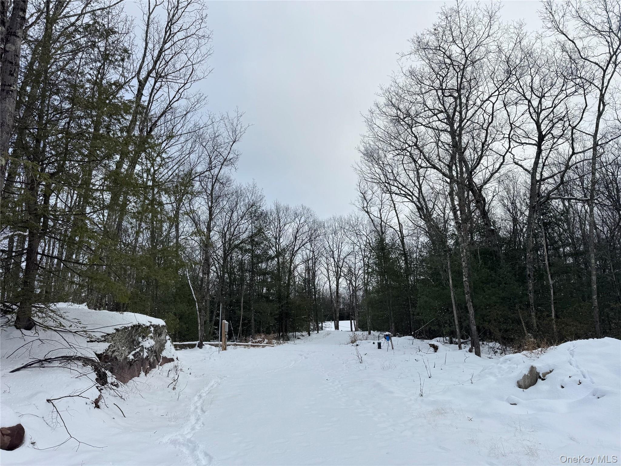 #6 photo, 171 Renner Road, Mountain Dale , NY 12763