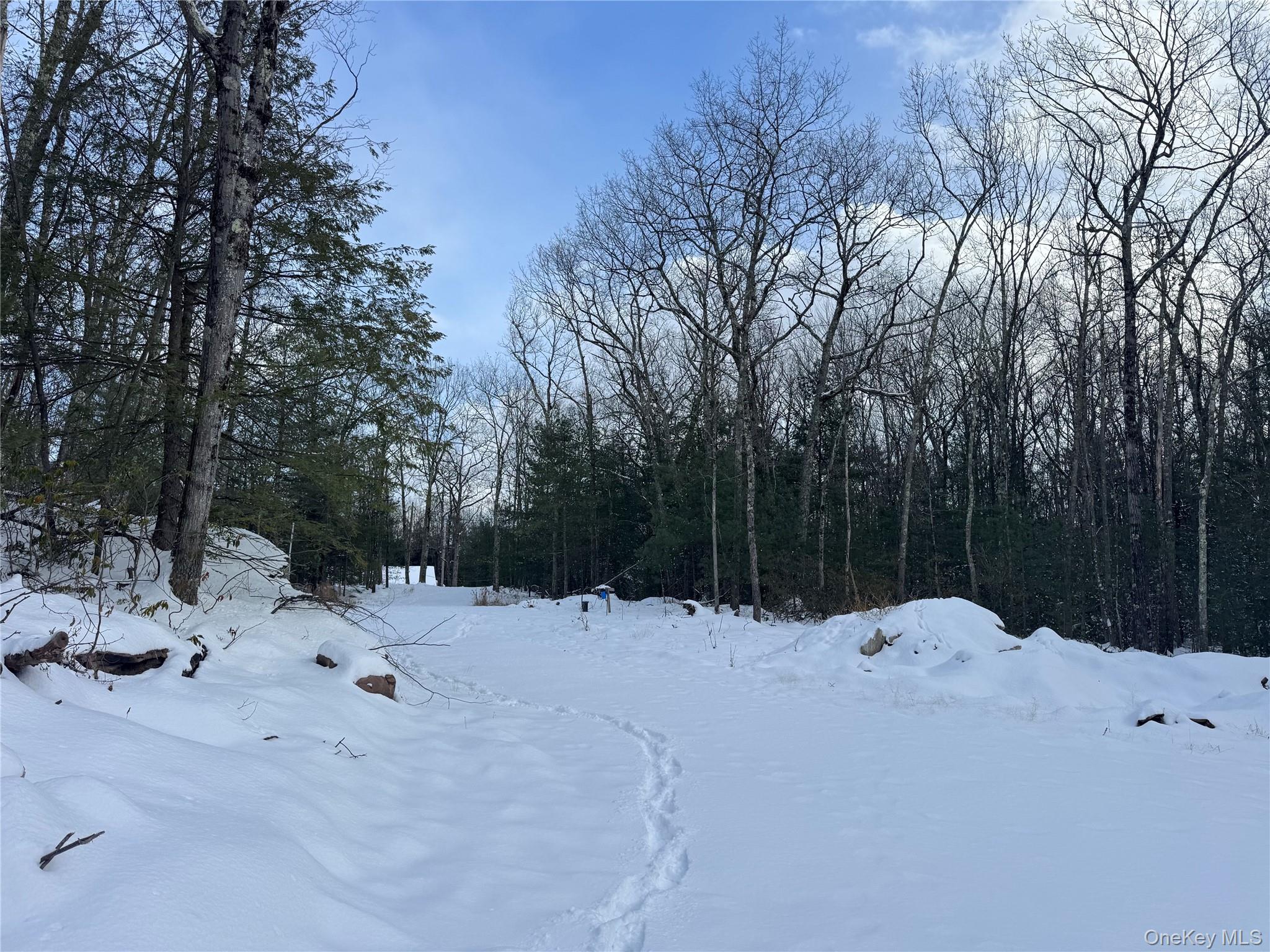 #7 photo, 171 Renner Road, Mountain Dale , NY 12763