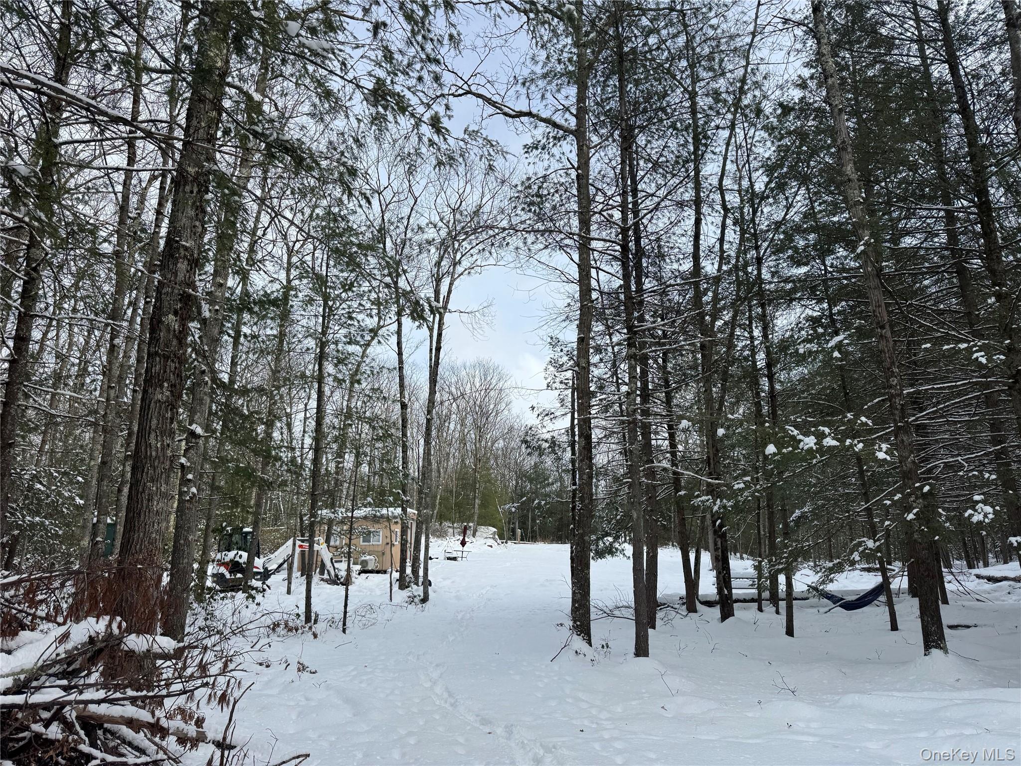 #8 photo, 171 Renner Road, Mountain Dale , NY 12763