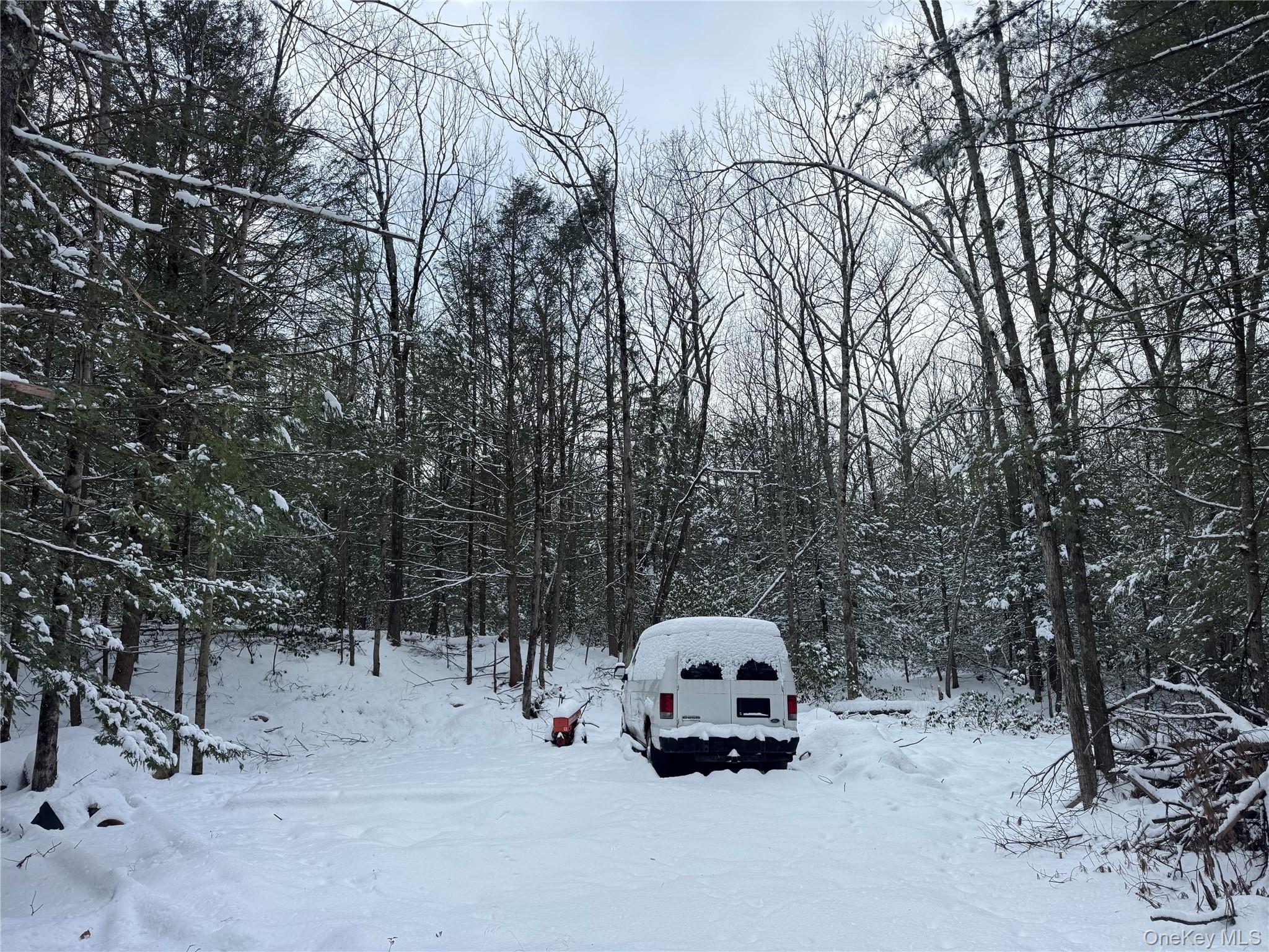 #9 photo, 171 Renner Road, Mountain Dale , NY 12763