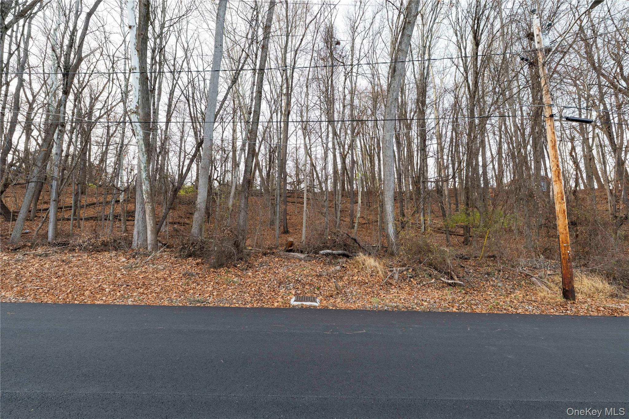 #11 photo, Sandra Street, Ellenville , NY 12428