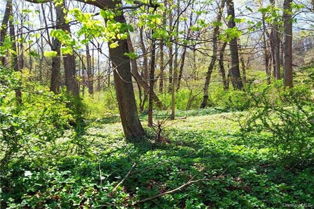 #2 photo, Pine Road & Pepperidge Road, Tuxedo Park , NY 10987