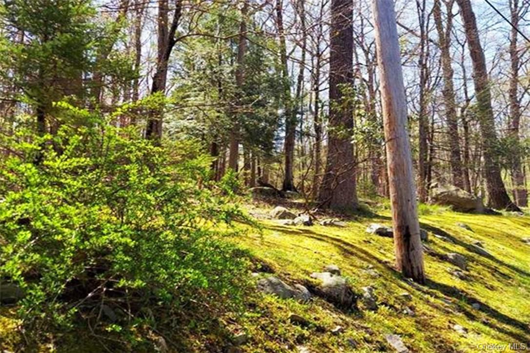 #3 photo, Pine Road & Pepperidge Road, Tuxedo Park , NY 10987