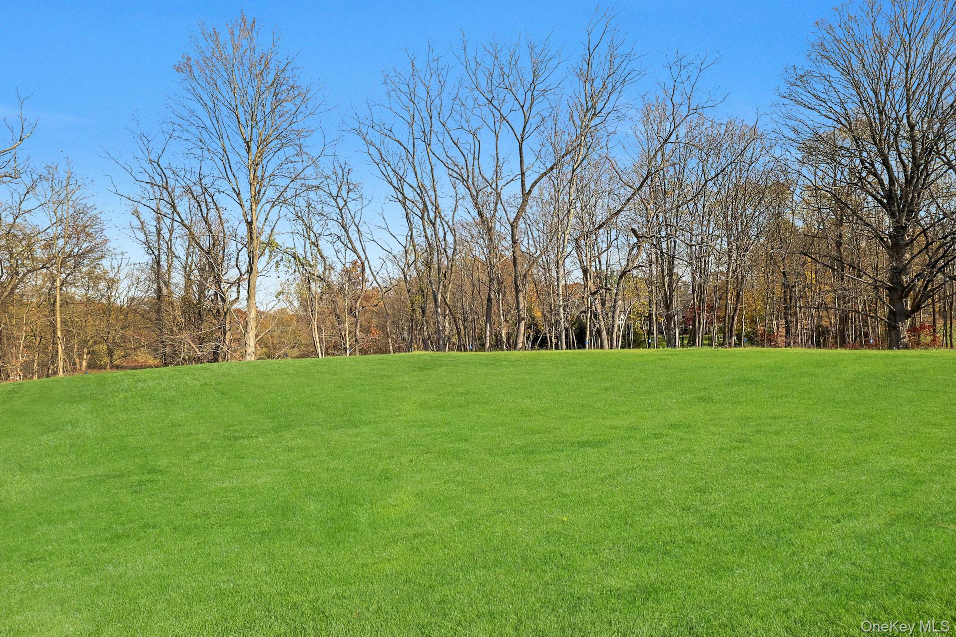 #3 photo, 22 Carriage Lane, 紐約州 Chappaqua , NY 10514