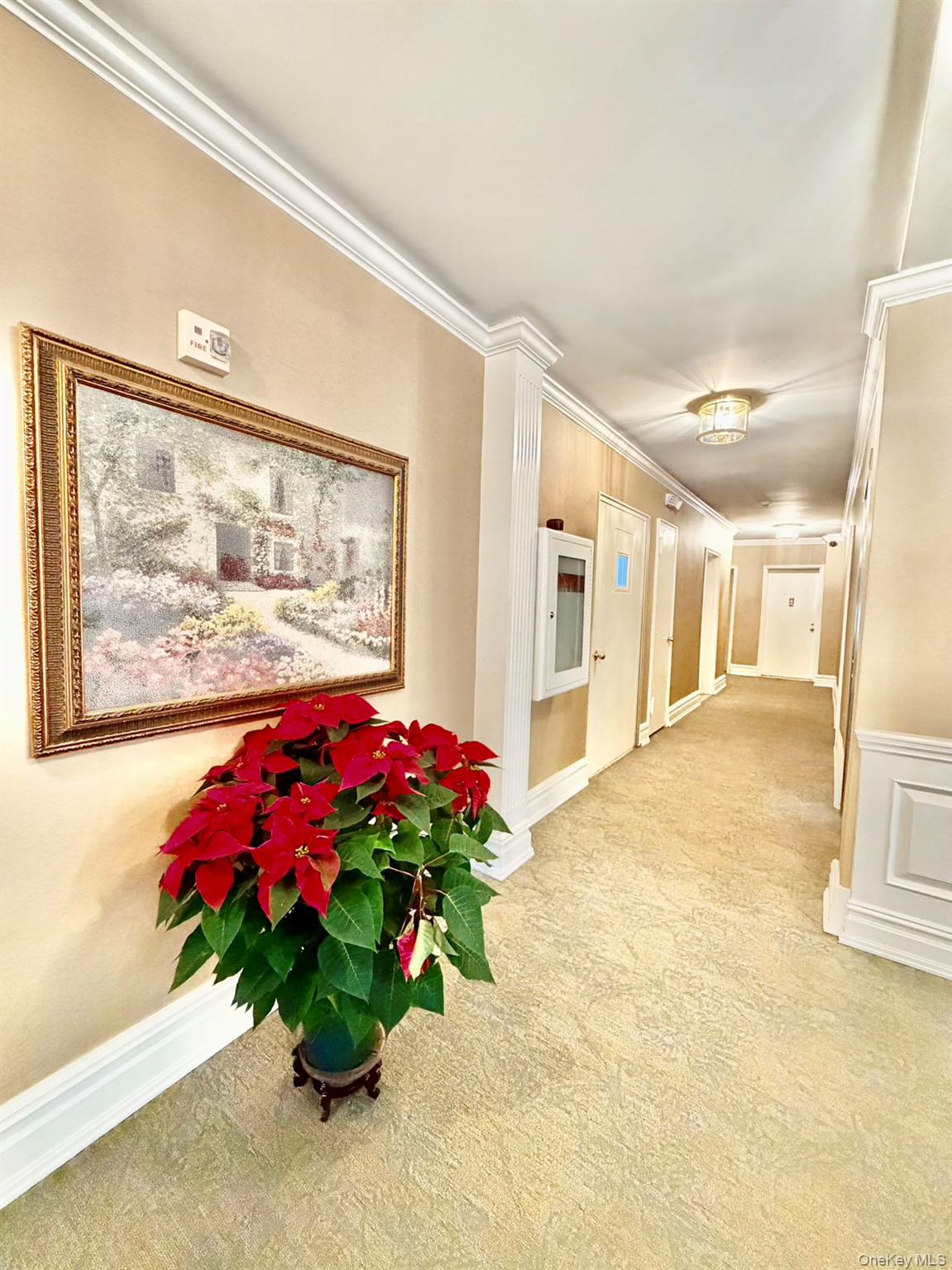 #6 photo, 111 7th Street, নাসাউ কাউন্টি Garden City , NY 11530