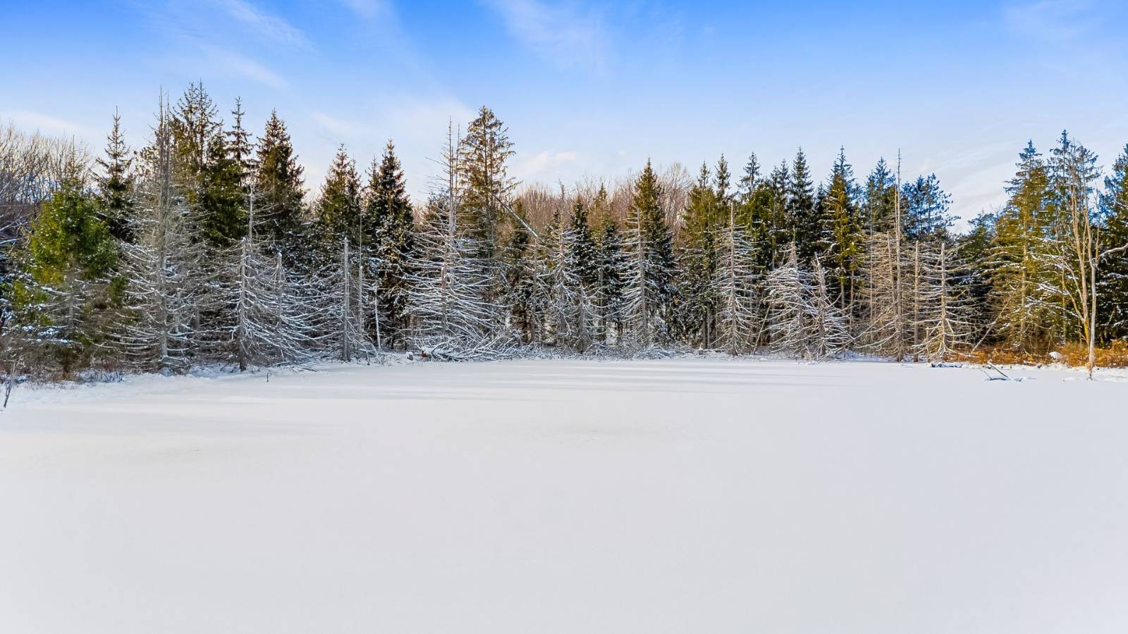 #12 photo, L1 County Rd 16, Otselic , NY 13815