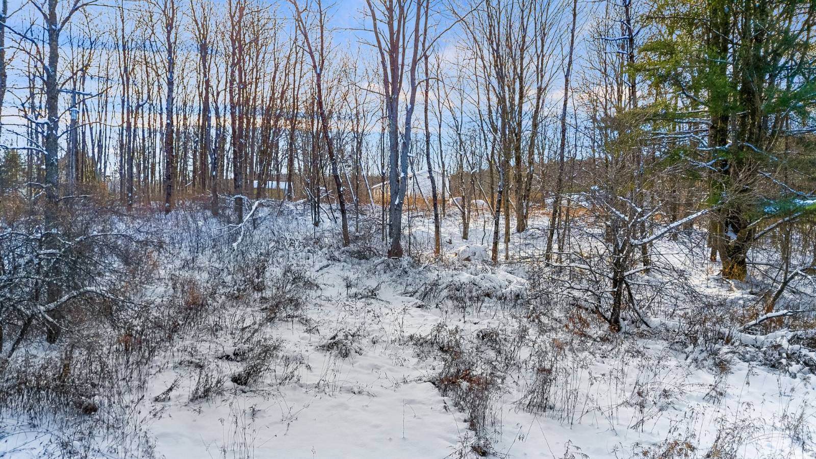 #17 photo, L1 County Rd 16, Otselic , NY 13815