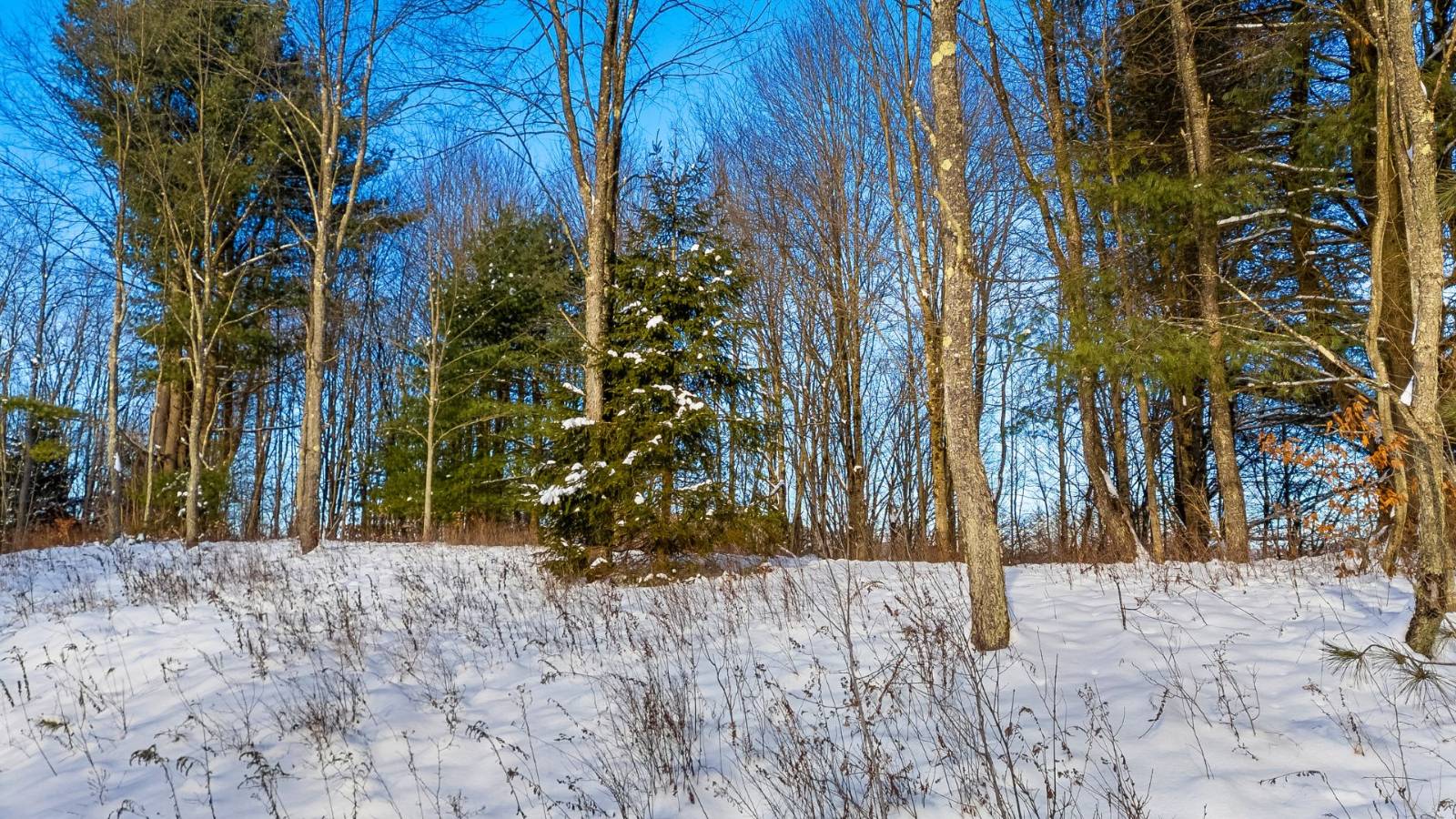 #18 photo, L1 County Rd 16, Otselic , NY 13815