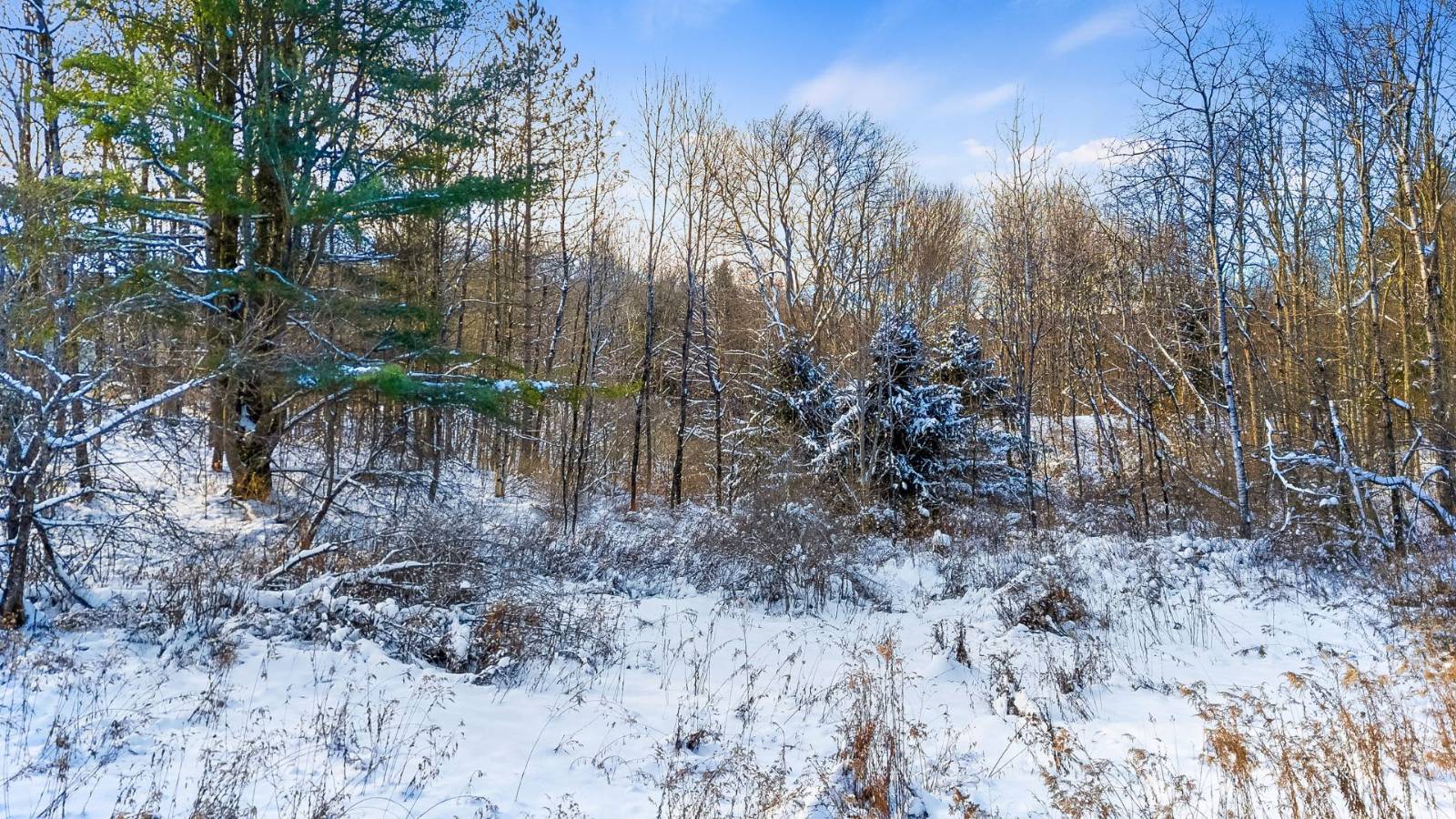 #19 photo, L1 County Rd 16, Otselic , NY 13815