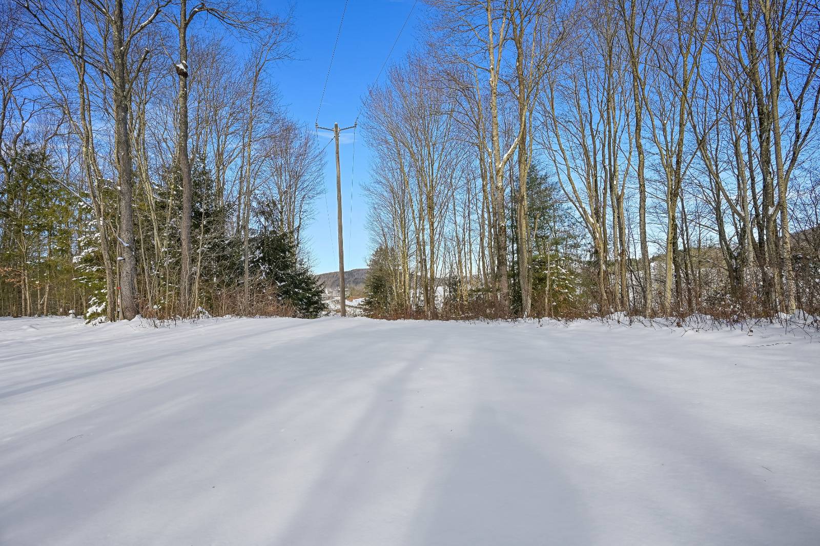 #29 photo, L1 County Rd 16, Otselic , NY 13815