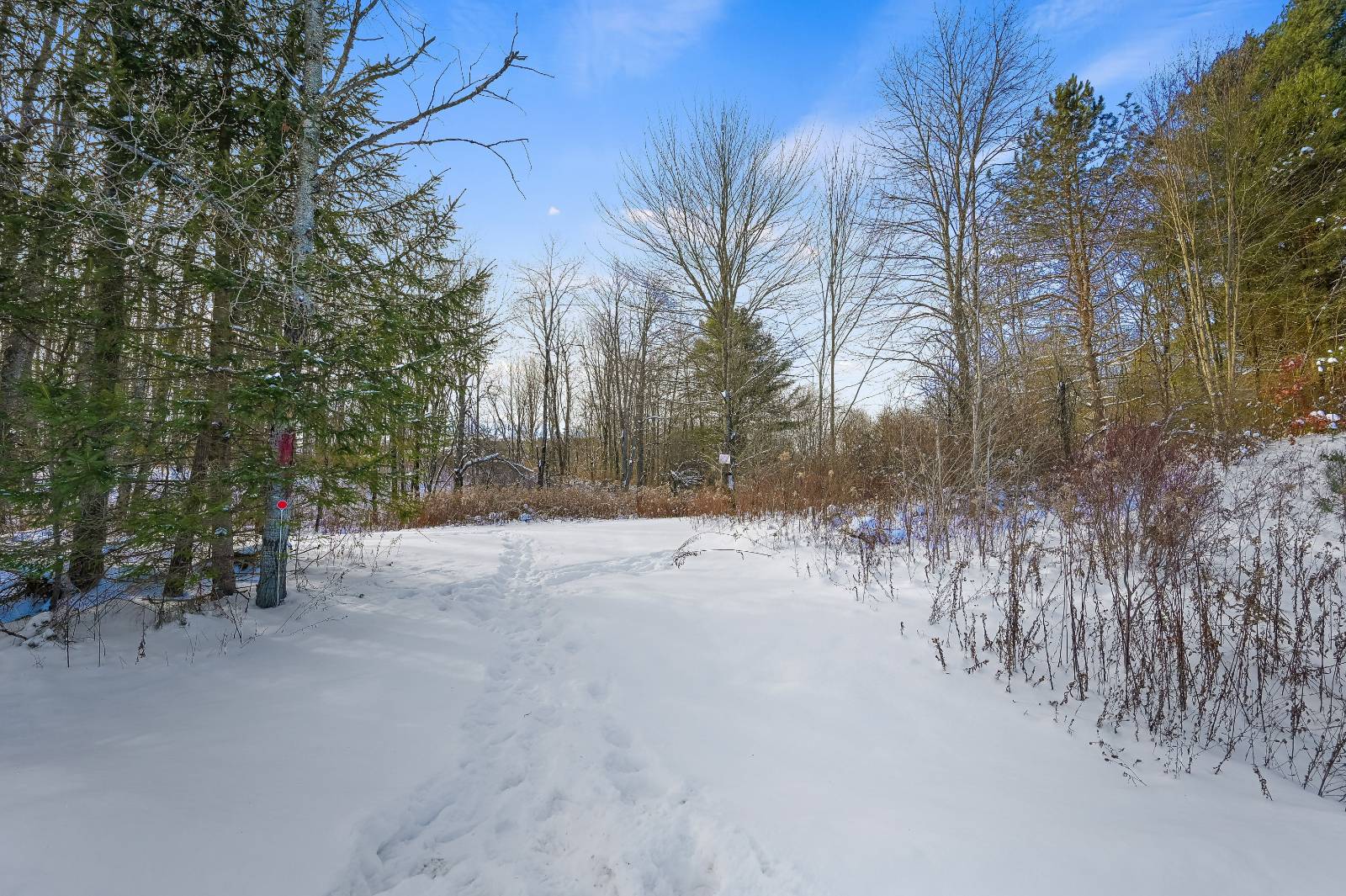#31 photo, L1 County Rd 16, Otselic , NY 13815