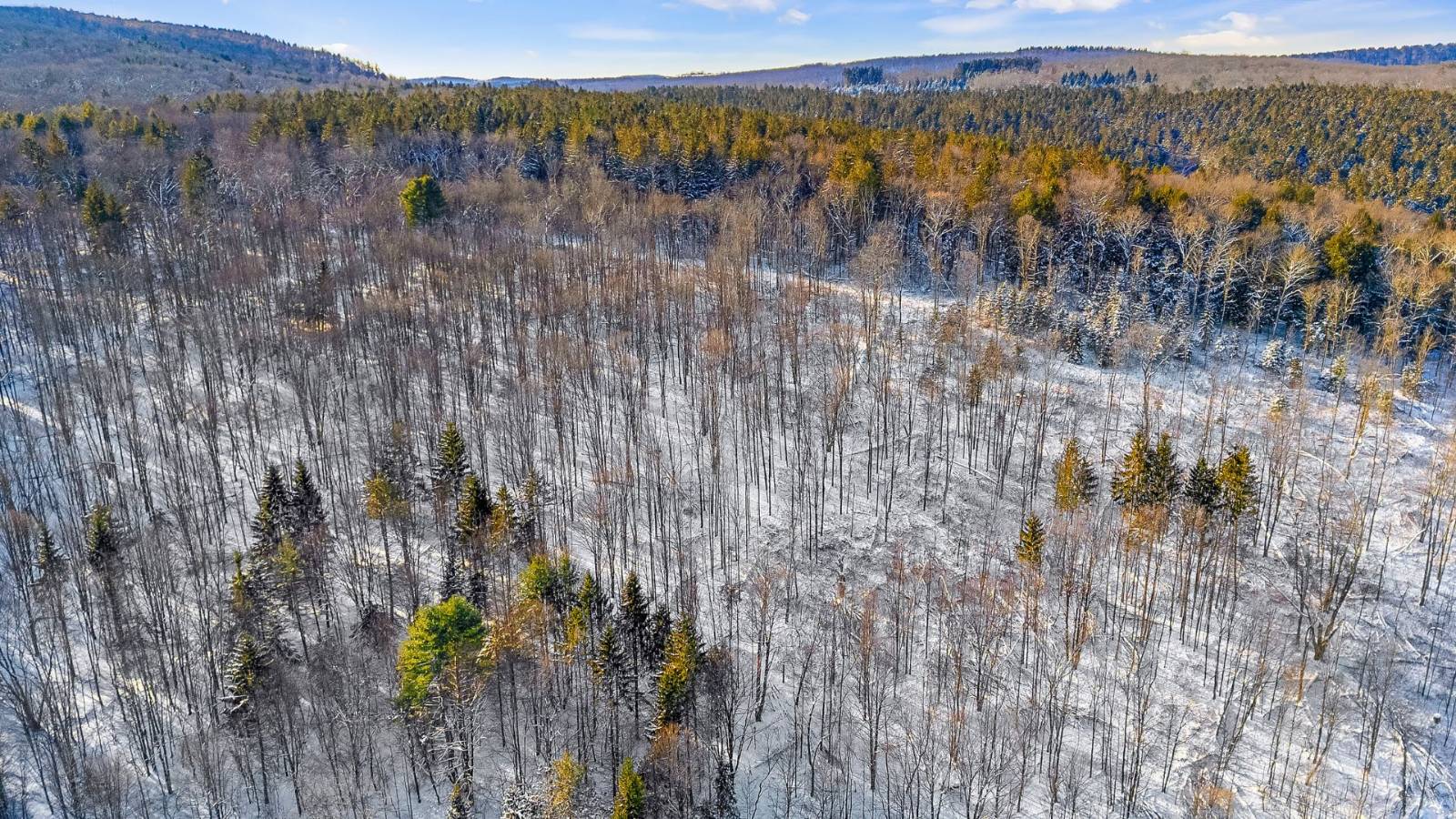 #7 photo, L1 County Rd 16, Otselic , NY 13815