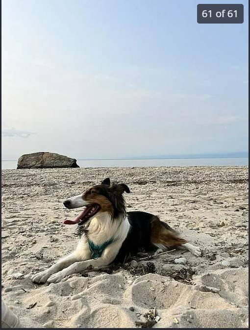 #42 photo, 401 20TH ST., WADING RIVER , NY 11792