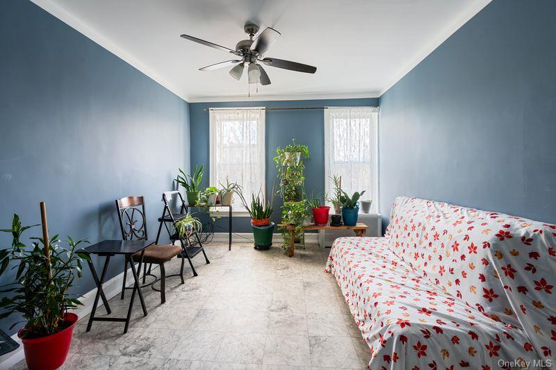 #10 photo, 387 Ashford Street, Brooklyn , NY 11207