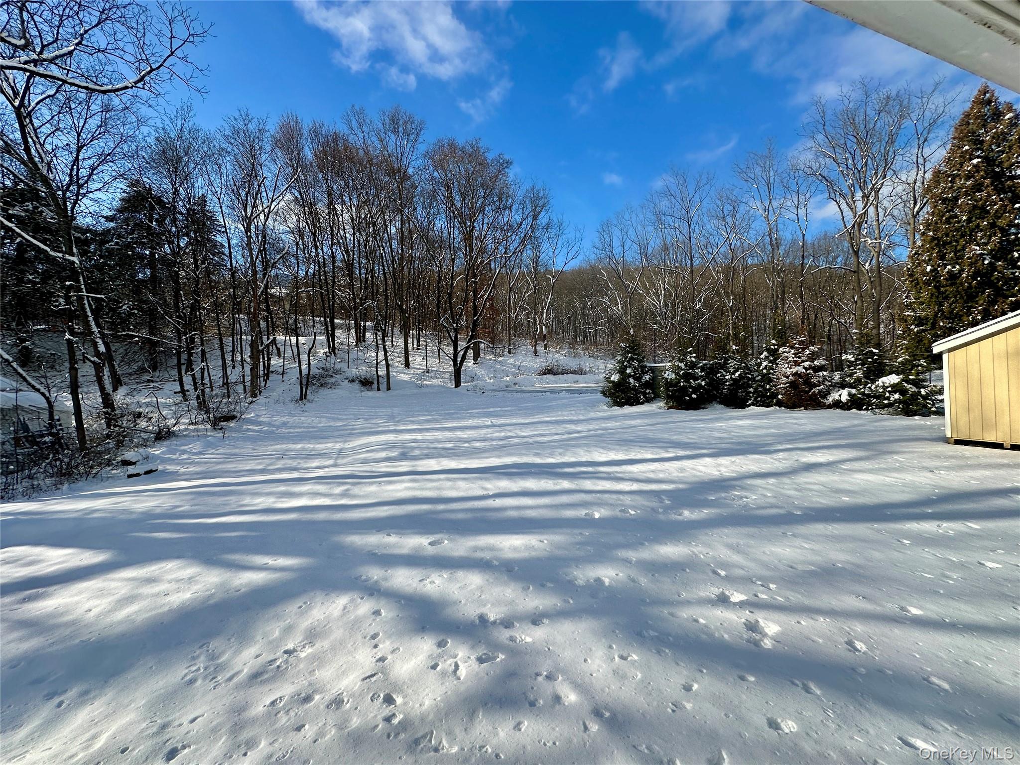 #12 photo, 11 Talmadge Court, 뉴욕주 Monroe , NY 10950