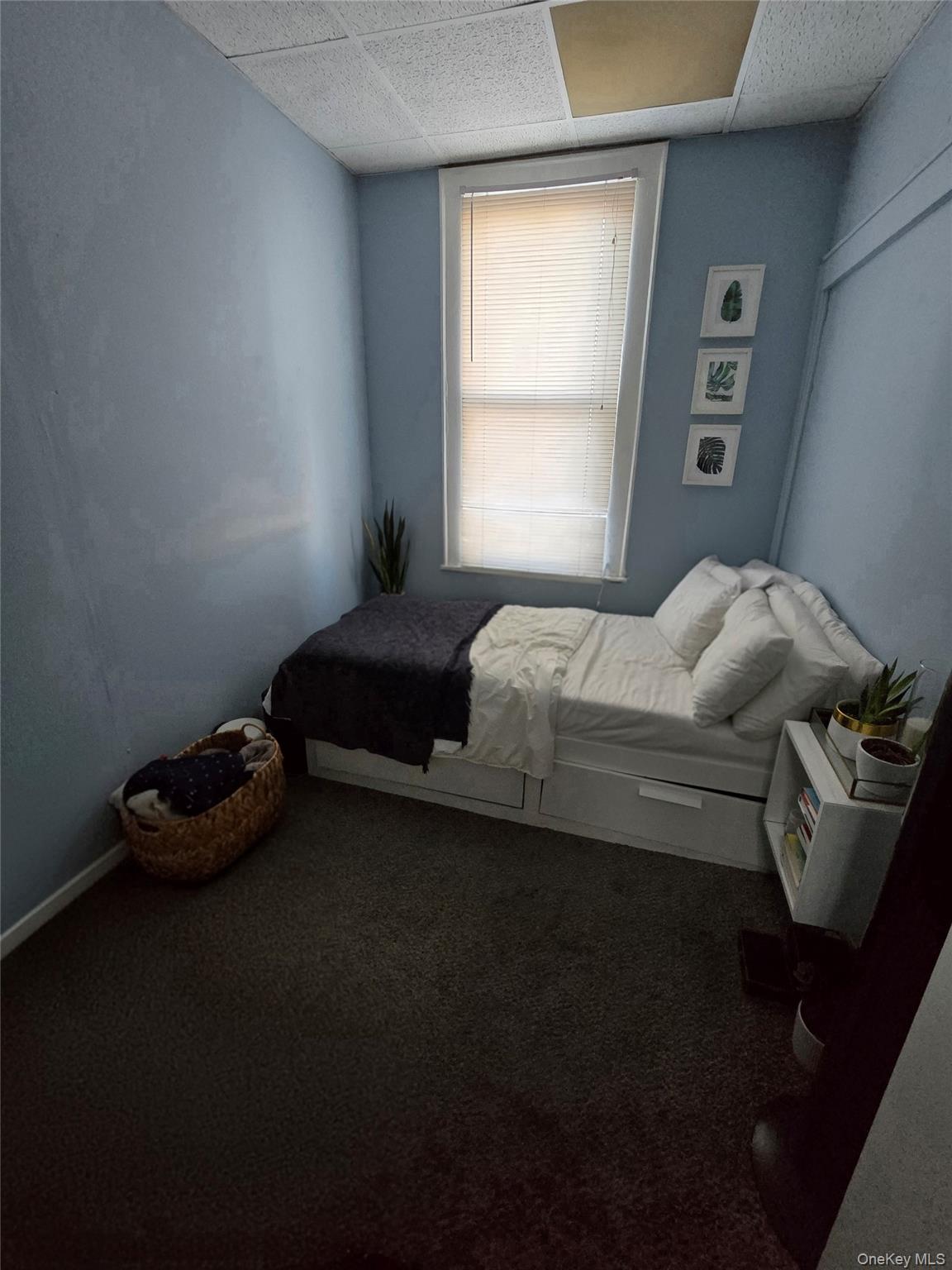 #11 photo, 80-18 95th Avenue, كوينز Ozone Park , NY 11416