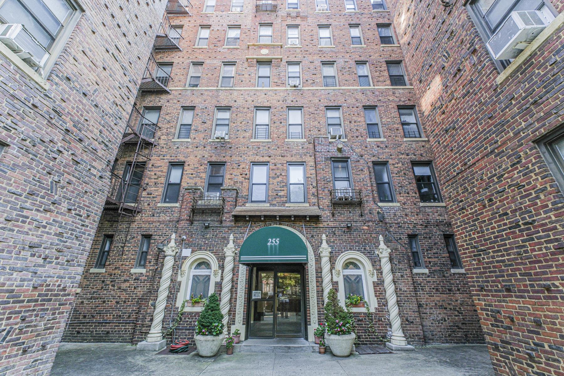 #13 photo, 255 79th Street, Bay Ridge , NY 11209