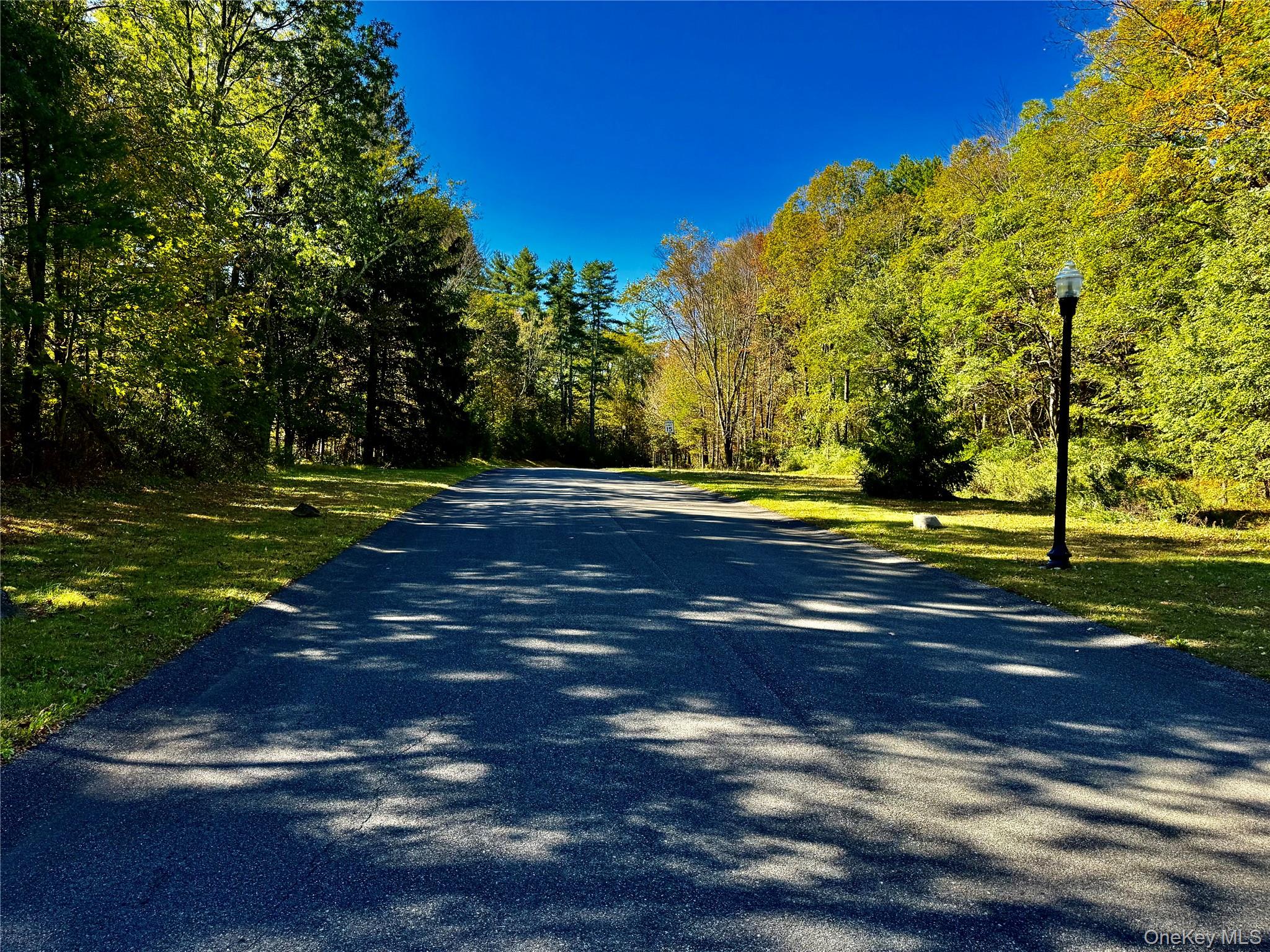 #2 photo, 44 Falling Waters Drive, Palenville , NY 12463