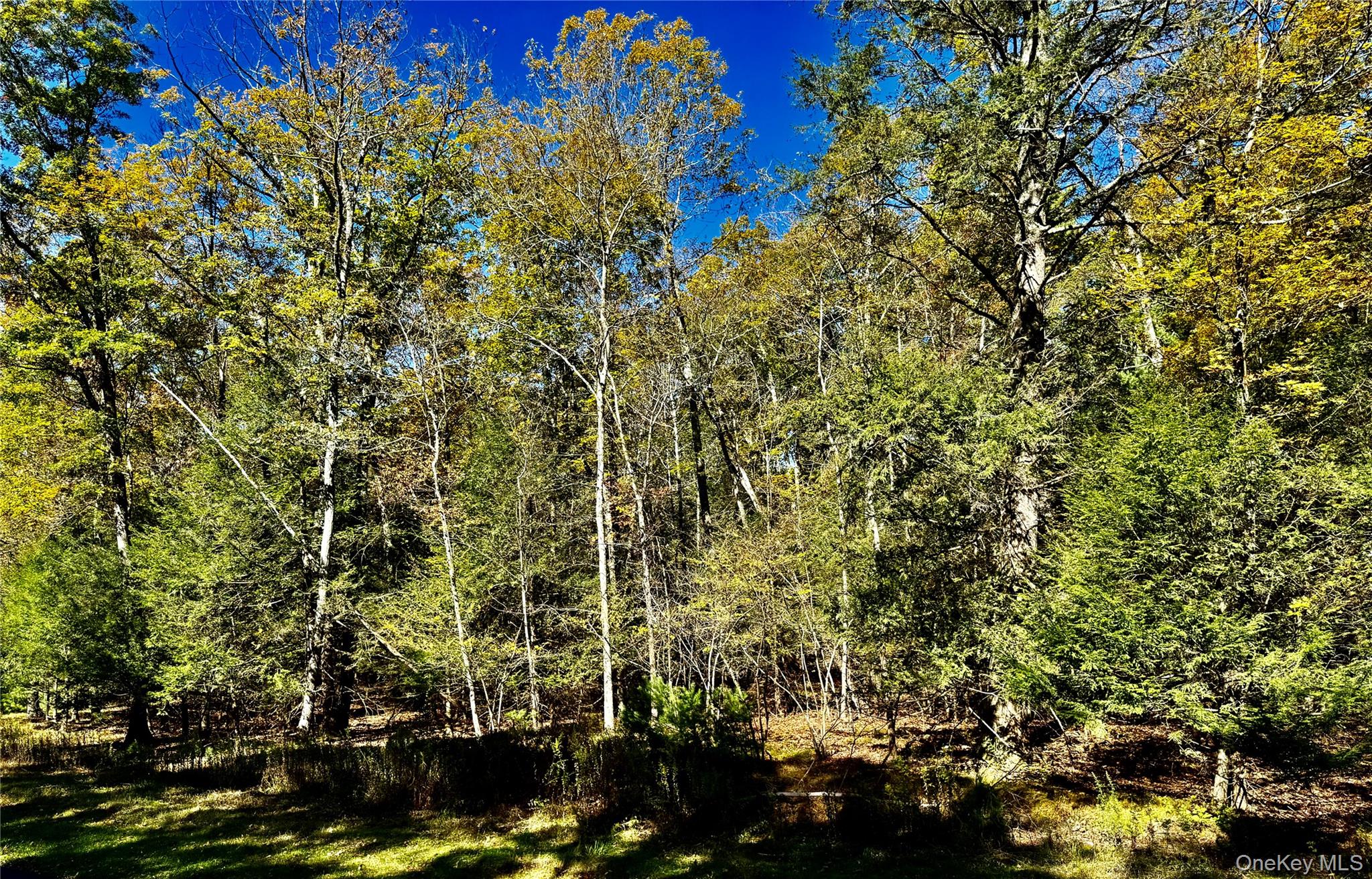 #7 photo, 44 Falling Waters Drive, Palenville , NY 12463