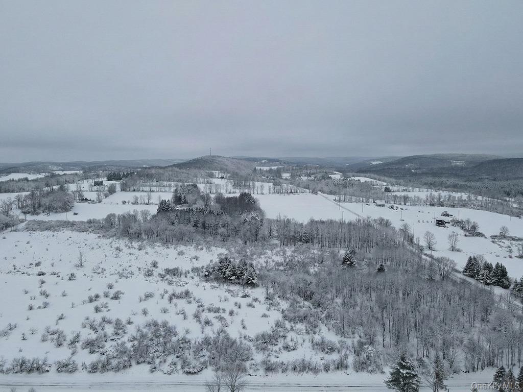 #2 photo, 625 Beechwoods Road, Callicoon , NY 12723