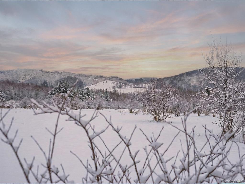 #6 photo, 625 Beechwoods Road, Callicoon , NY 12723